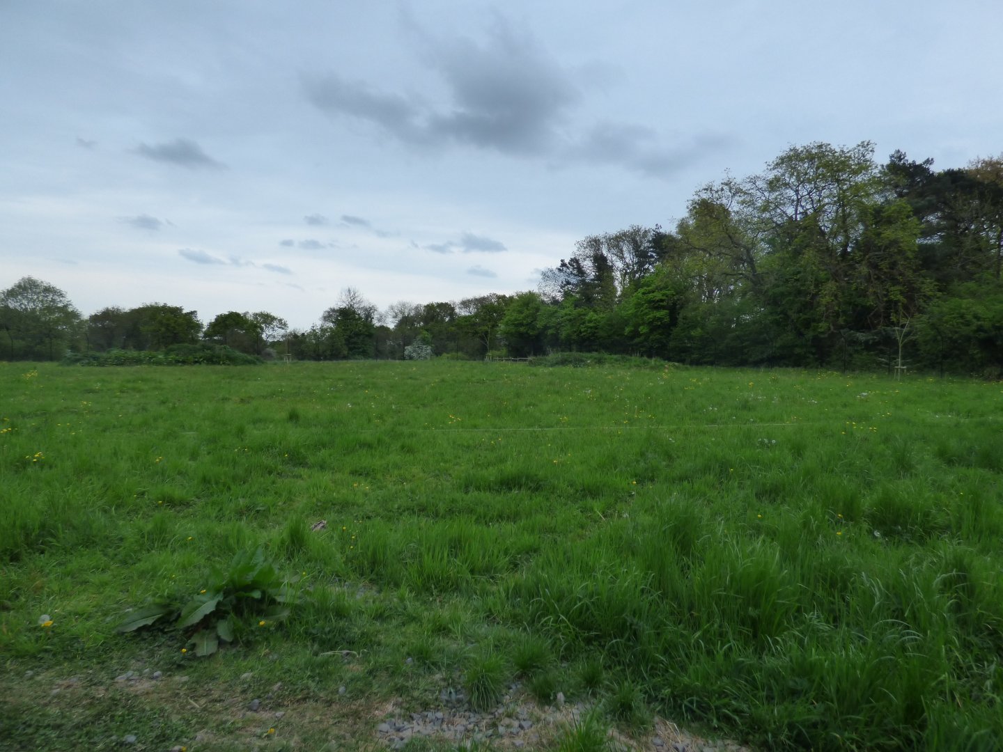 View of Cheetah Paddock