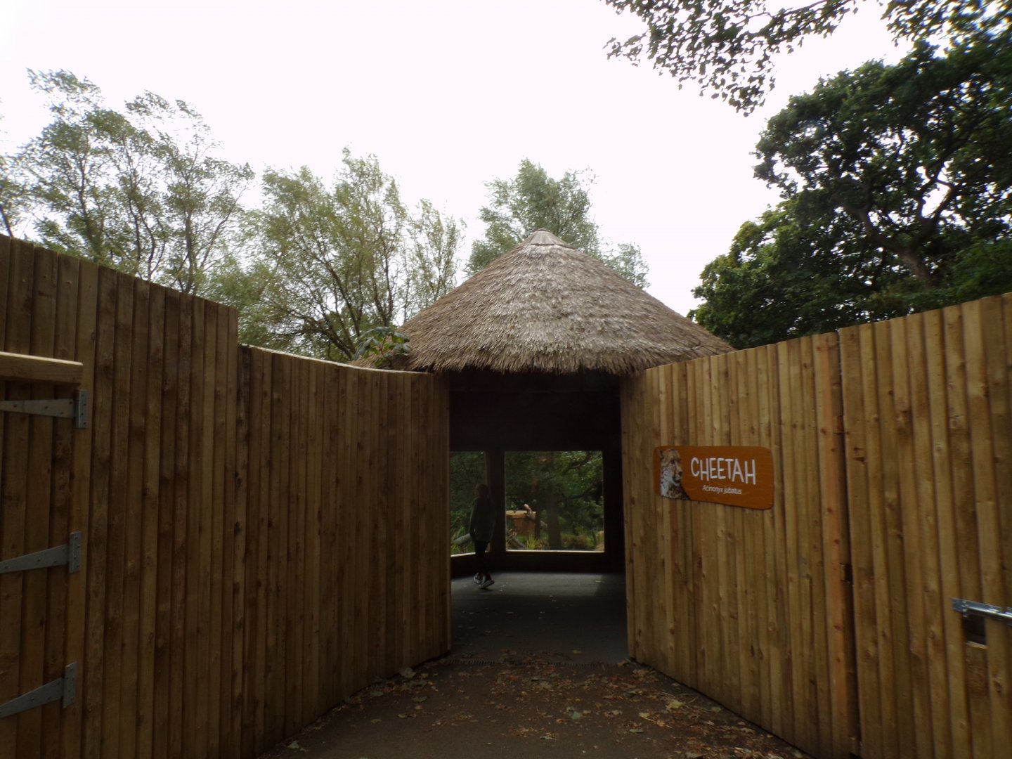 View of cheetah viewing area 25.8.24