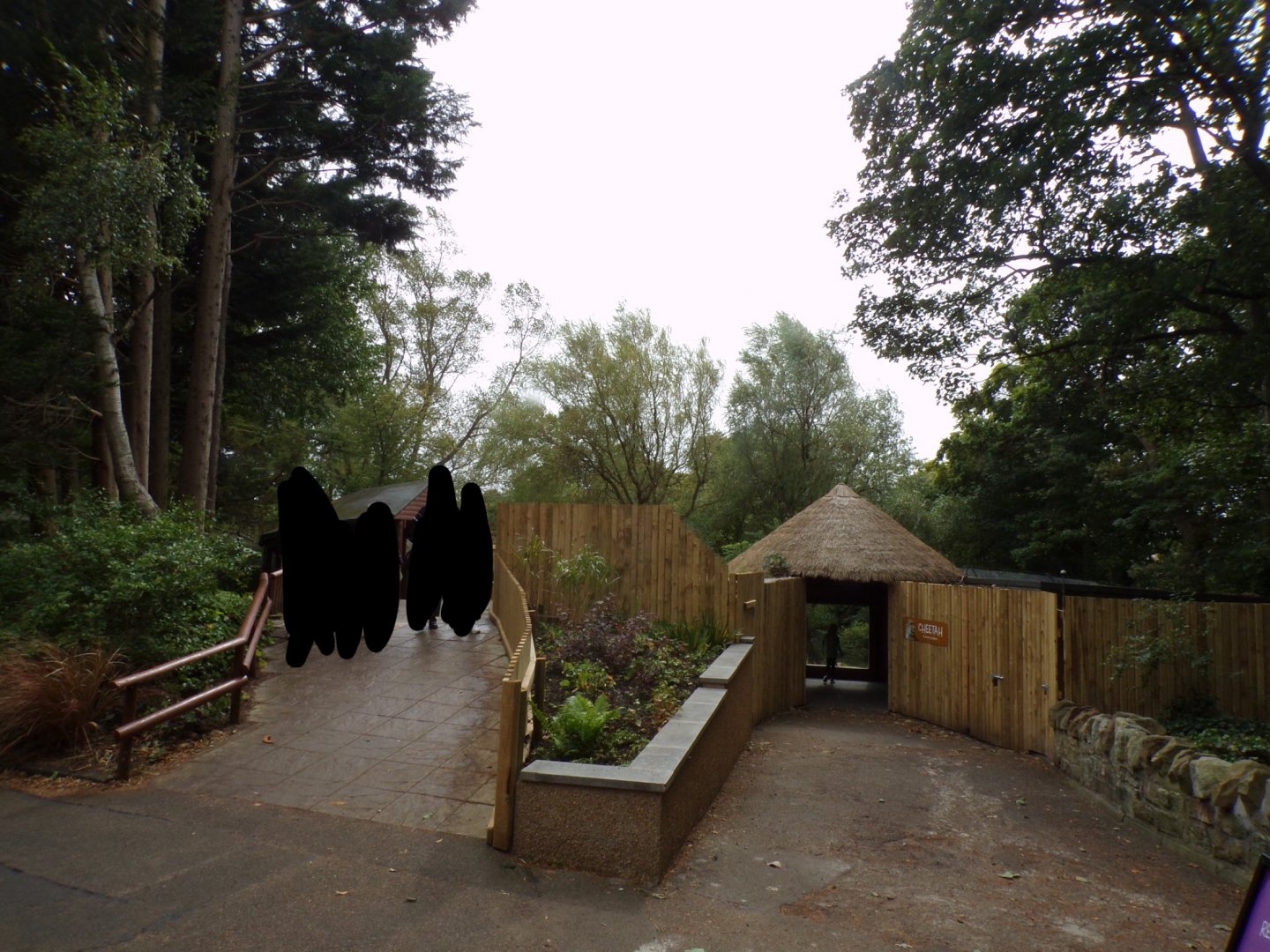View of cheetah viewing area and path up to walkway 25.8.24