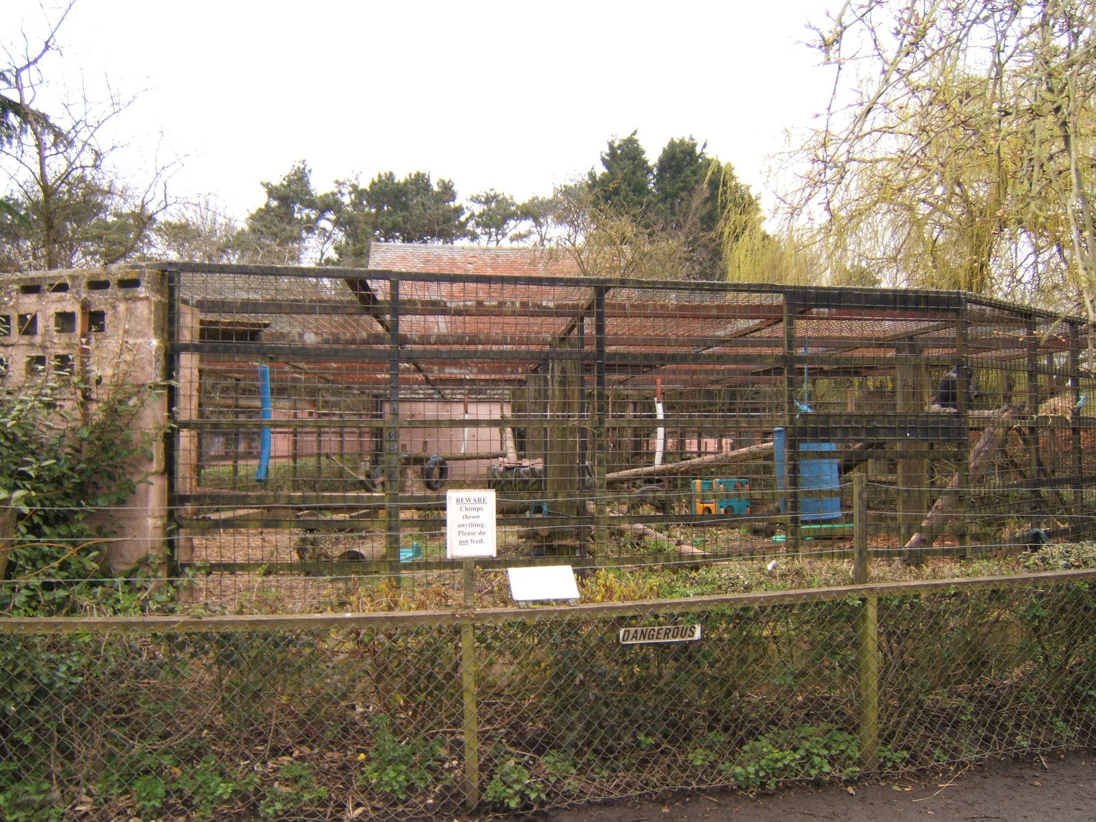 View of Chimp cage