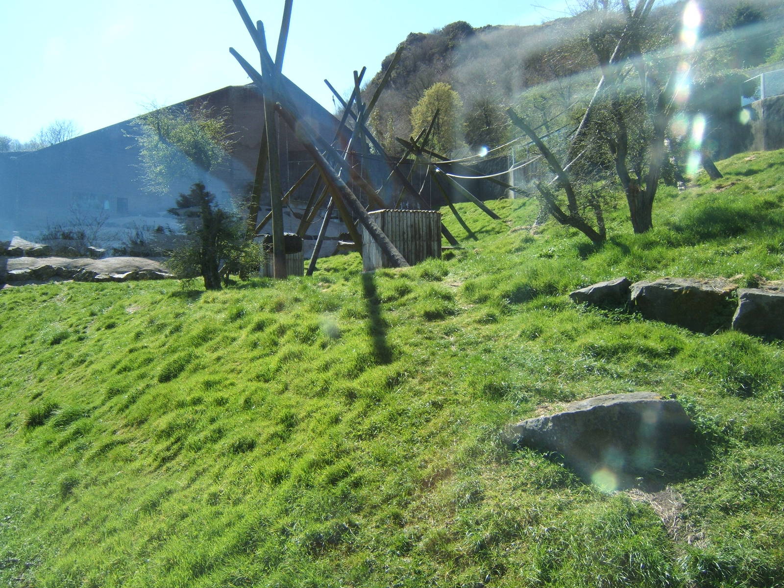 View of Chimp enclosure
