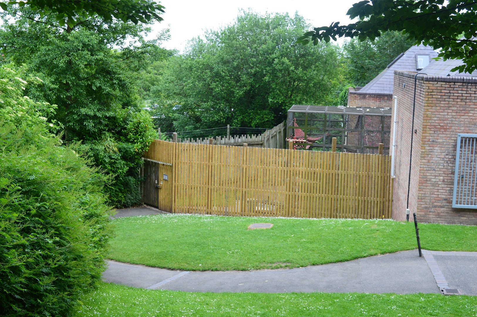 View of chimp holding area