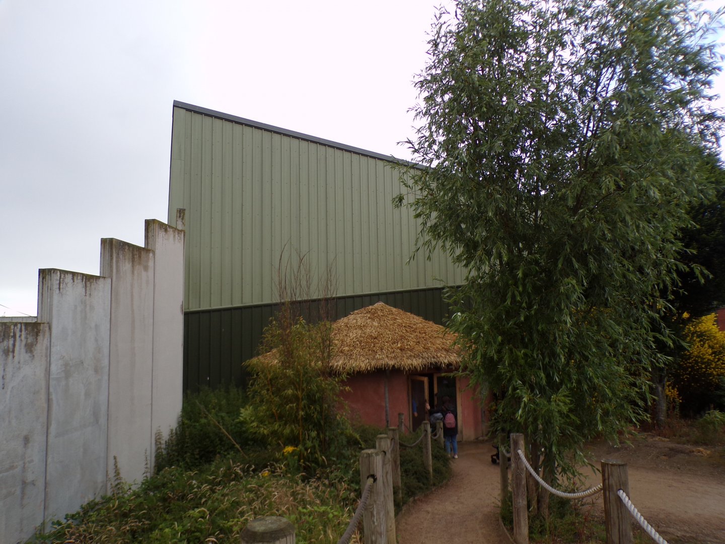 View of Chimpanzee Eden 7.7.24