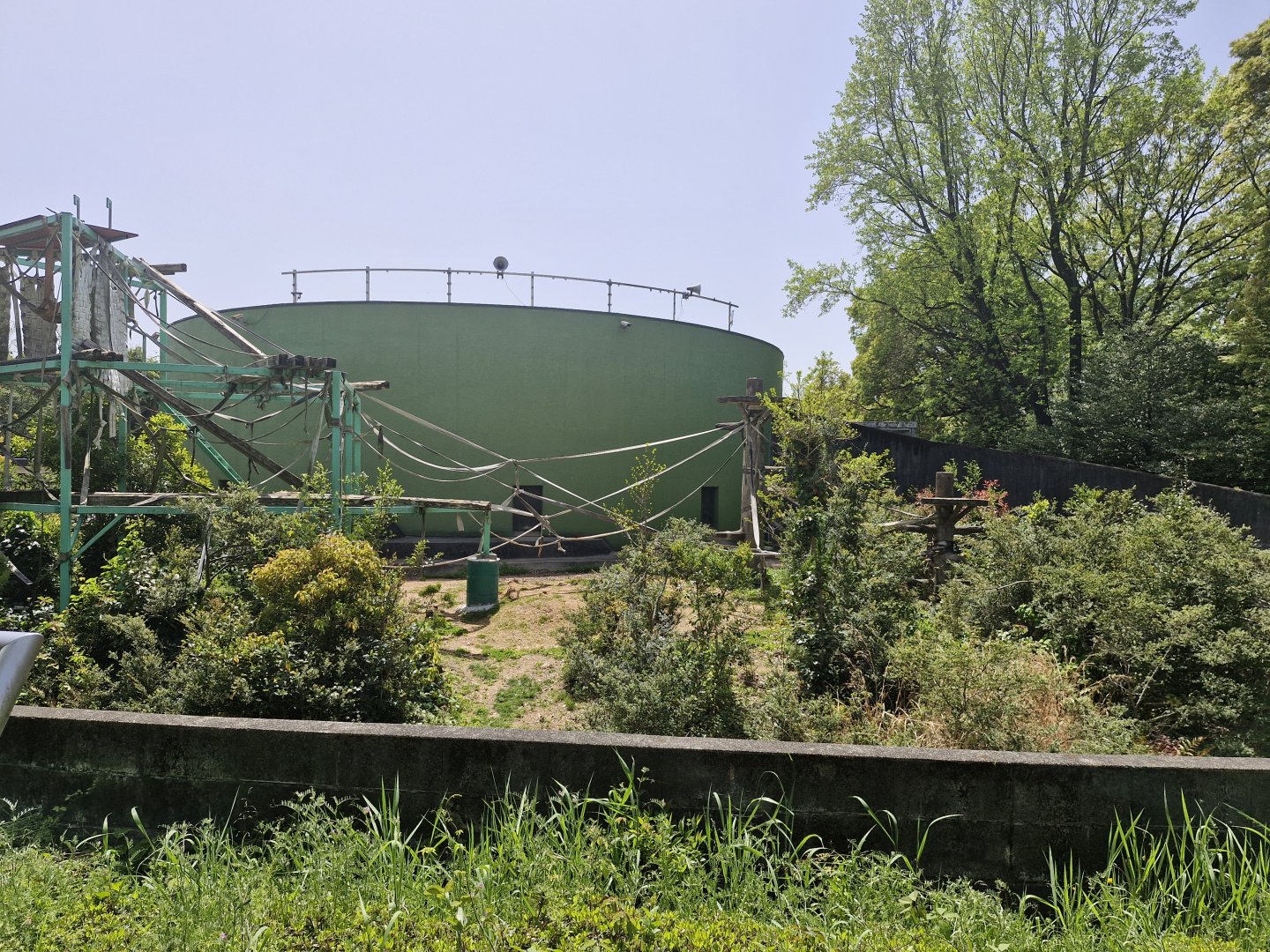 View of chimpanzee enclosure