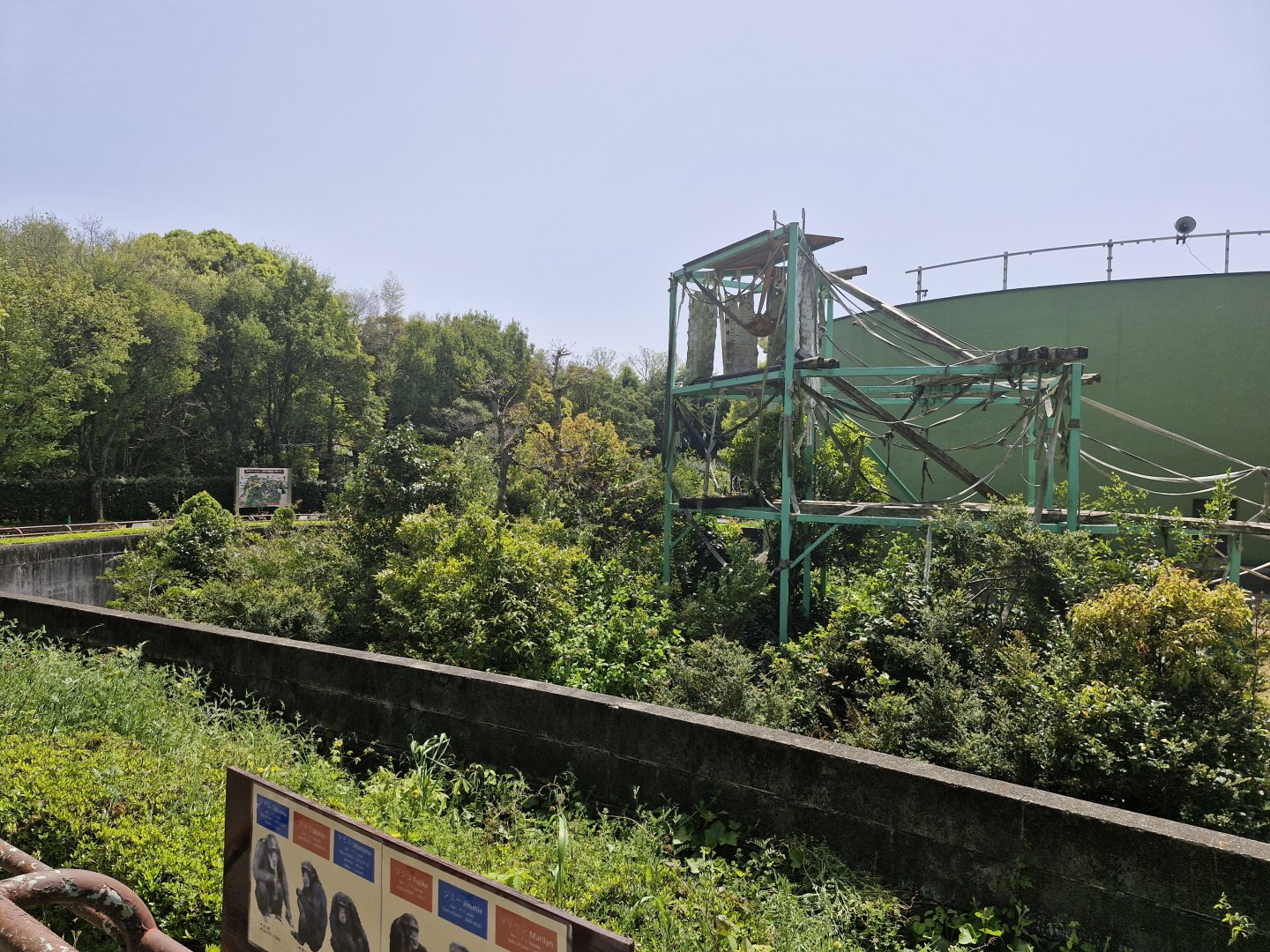 View of chimpanzee enclosure