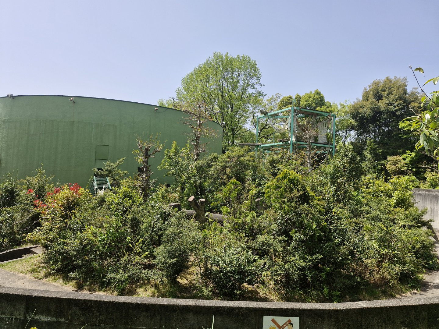View of chimpanzee enclosure