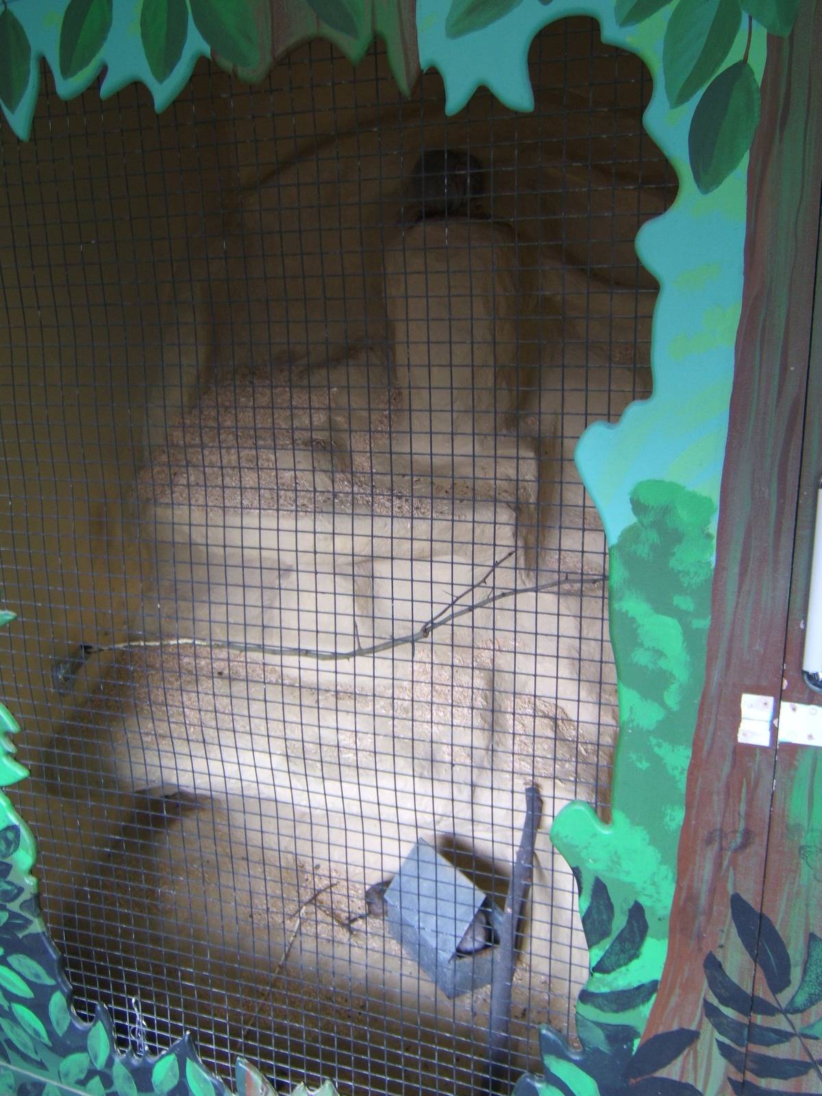 View of Chinchilla enclosure