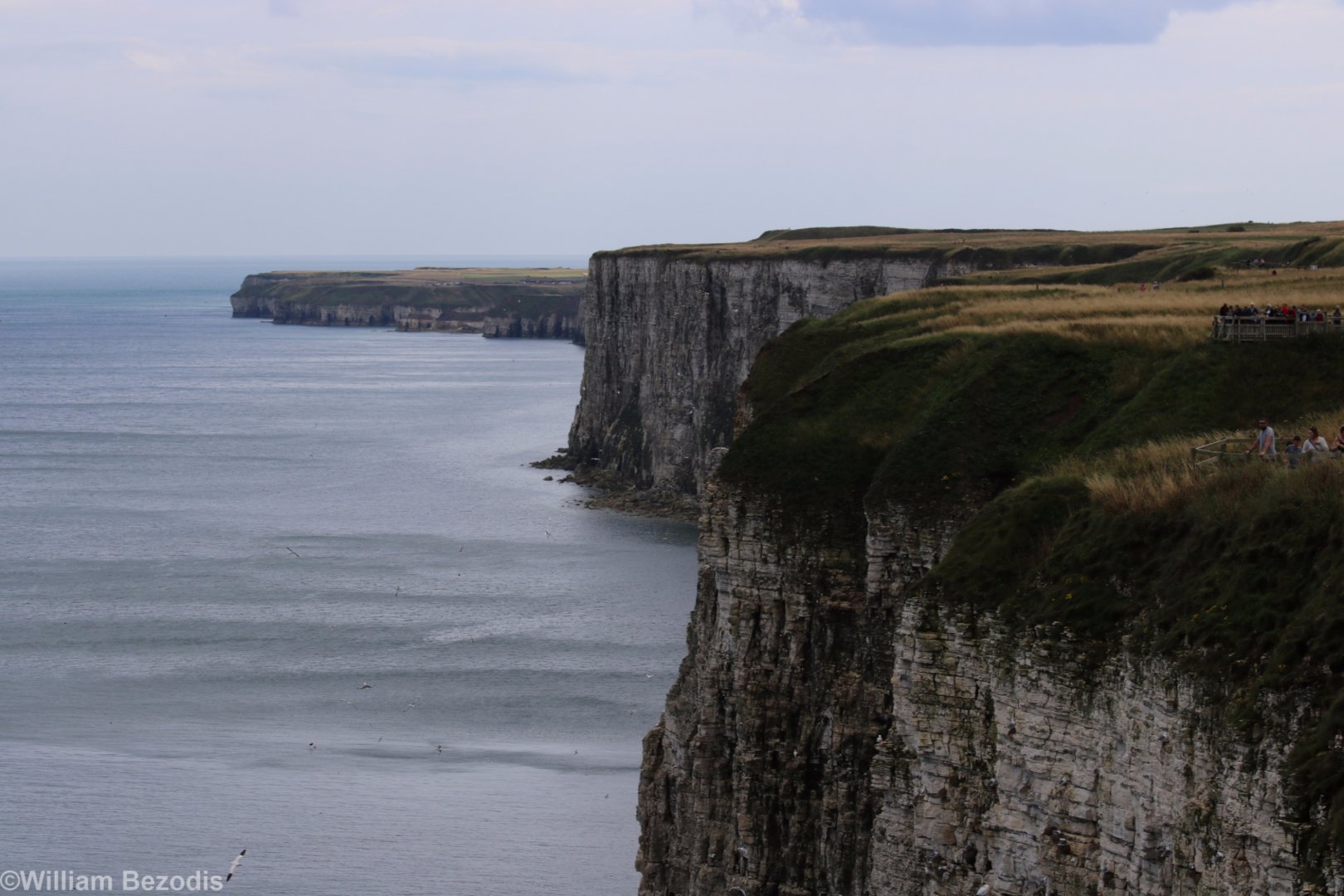 View of Cliffs - RSPB Bempton Cliffs