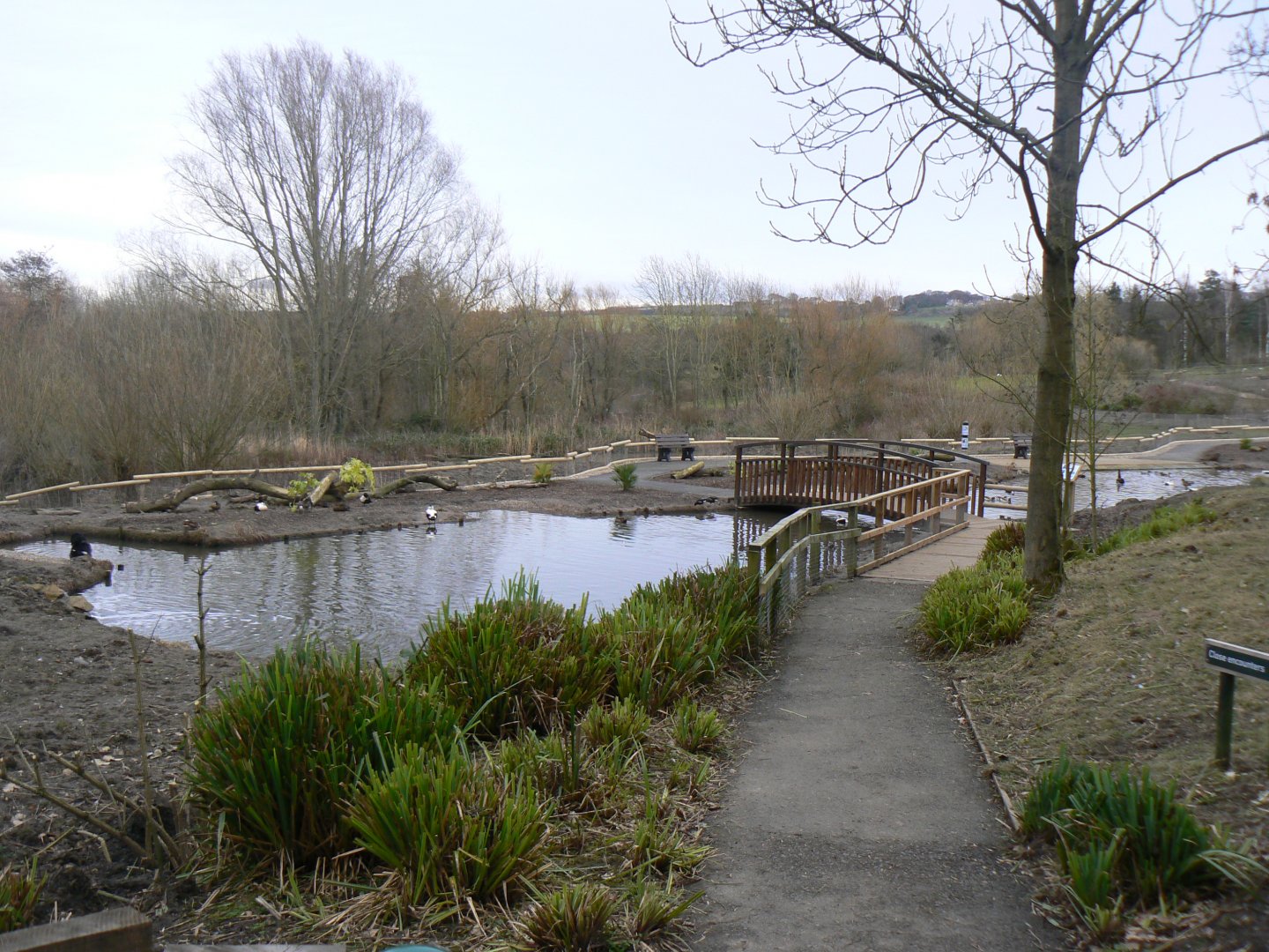 View of Close Encounters - 21 February 2017