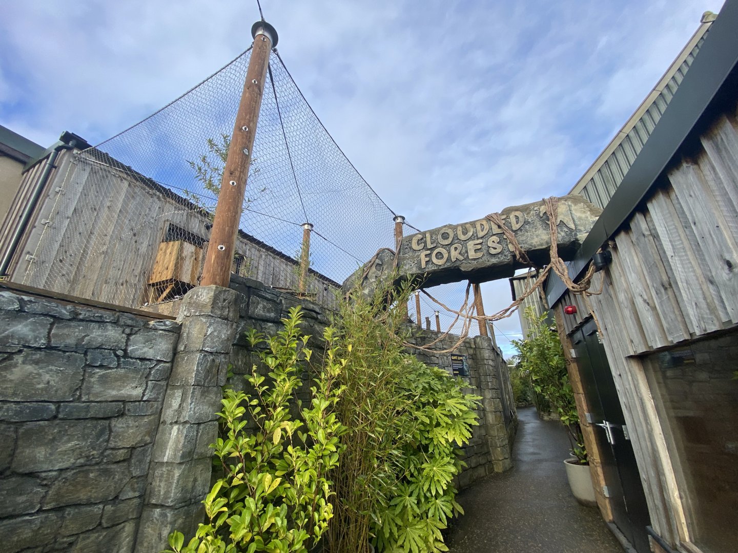 View of clouded leopard enclosure