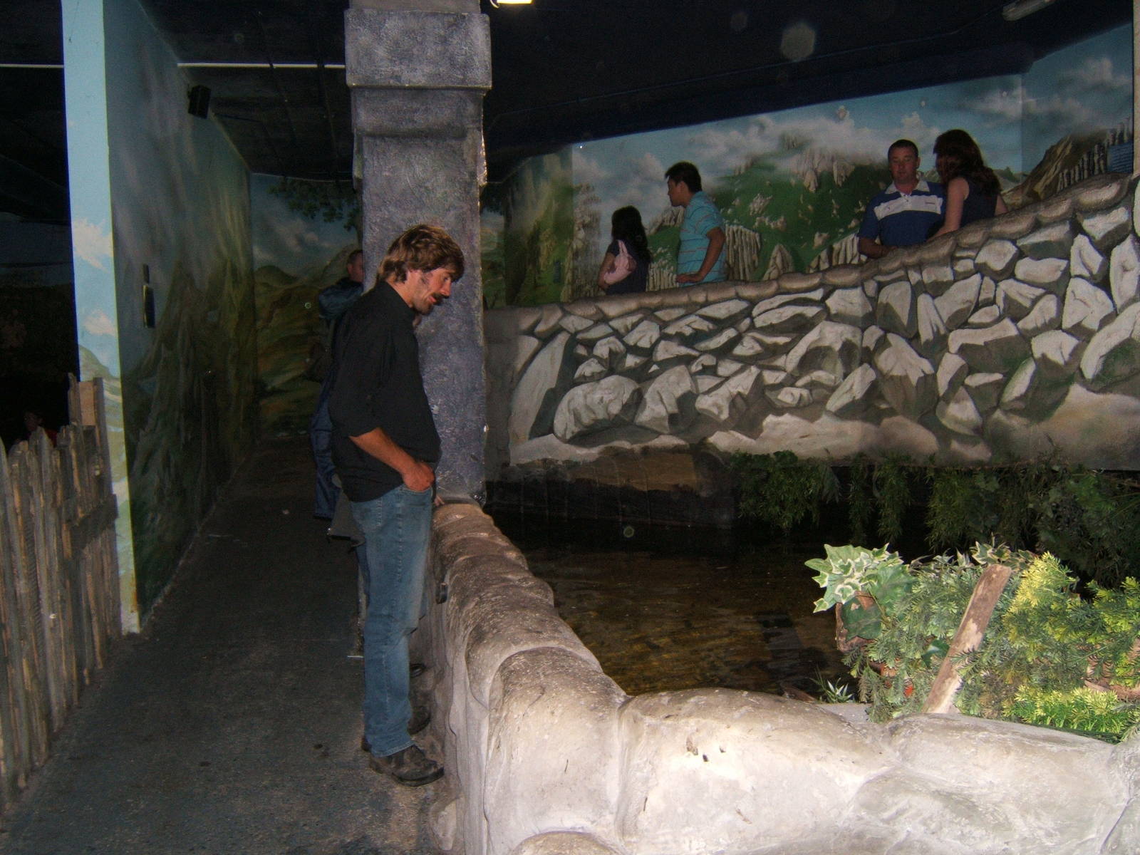 View of Clown Knife Fish exhibit