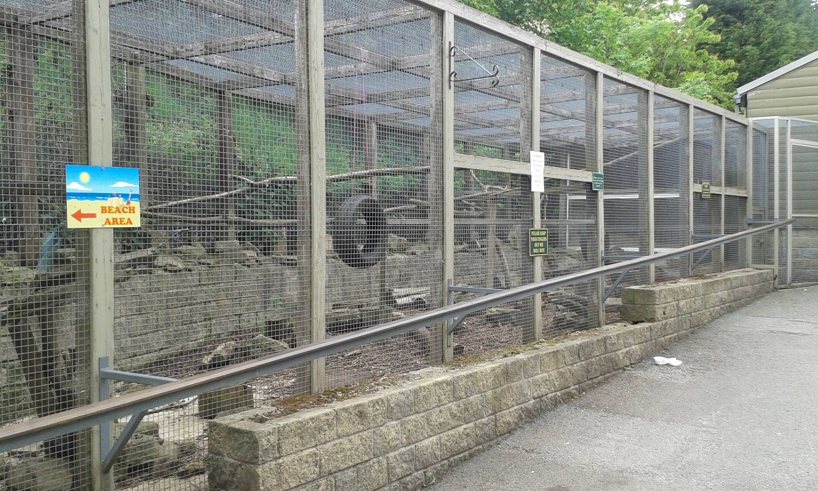 View of Coati enclosure