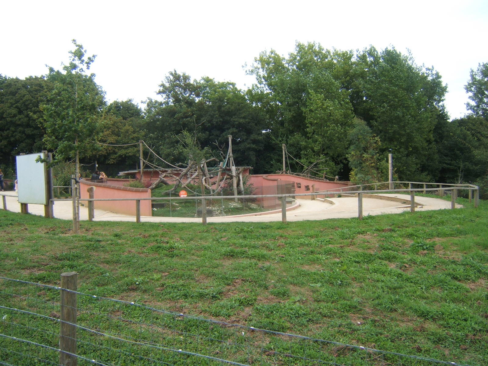 View of Coati enclosure