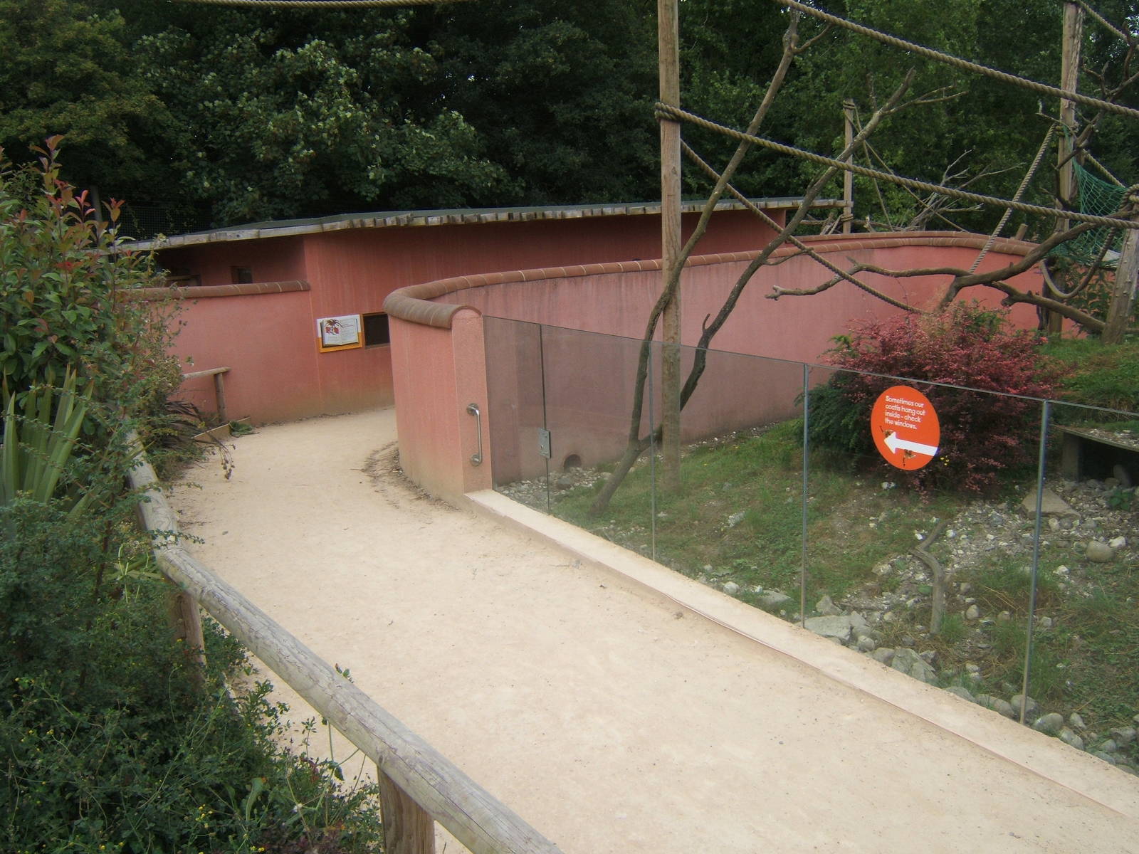 View of Coati enclosure