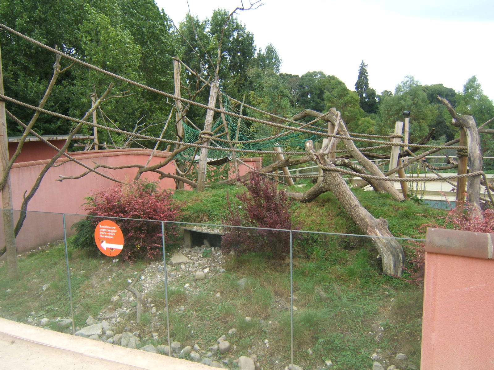 View of Coati enclosure