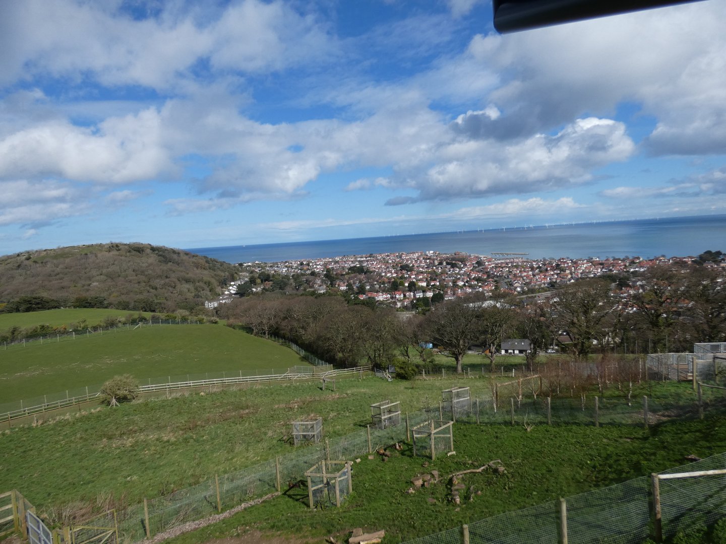 View of Colwyn Bay from snow leopard viewing area