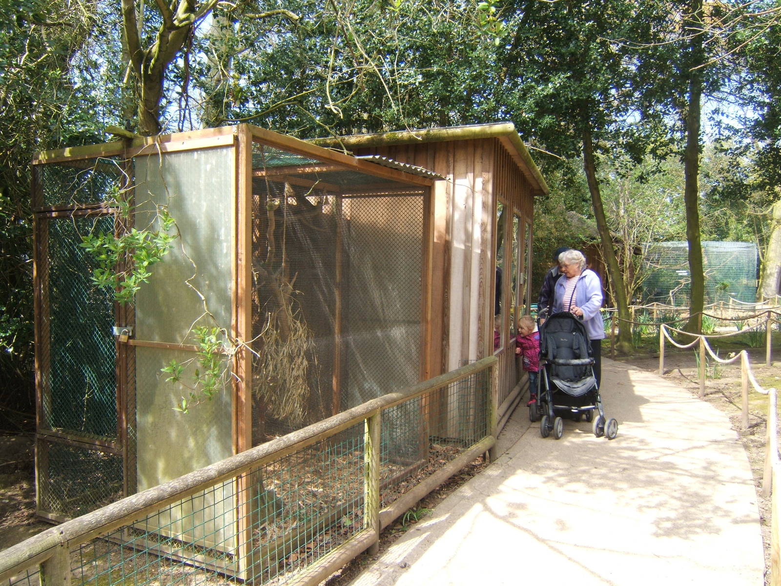 View of Common Marmoset House