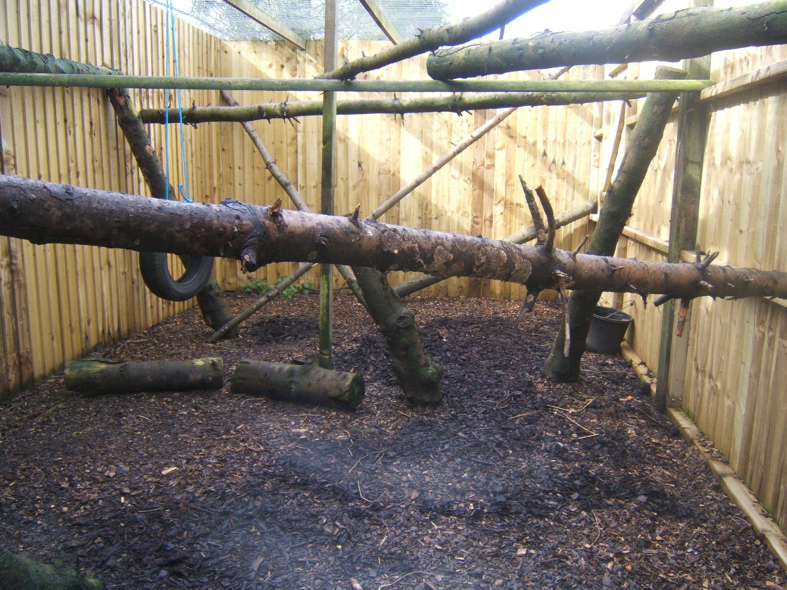 View of Common Palm Civet emclosure
