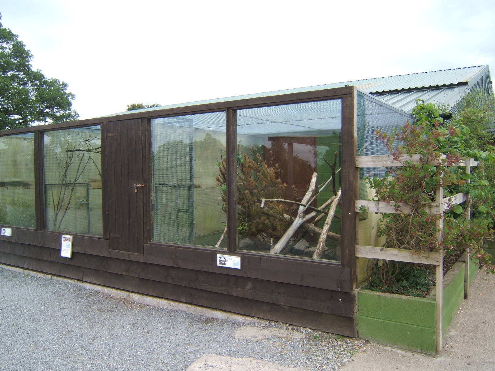 View of Common Palm Civet enclosure