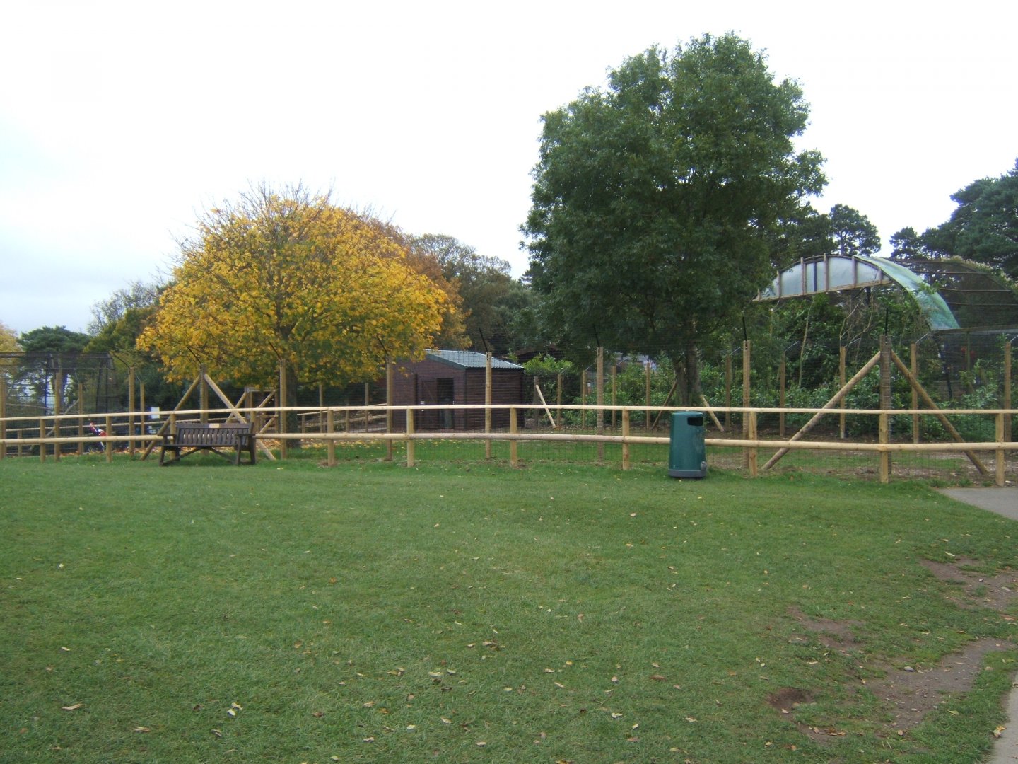 View of Common Rhea enclosure being re-fenced and house having work done on it