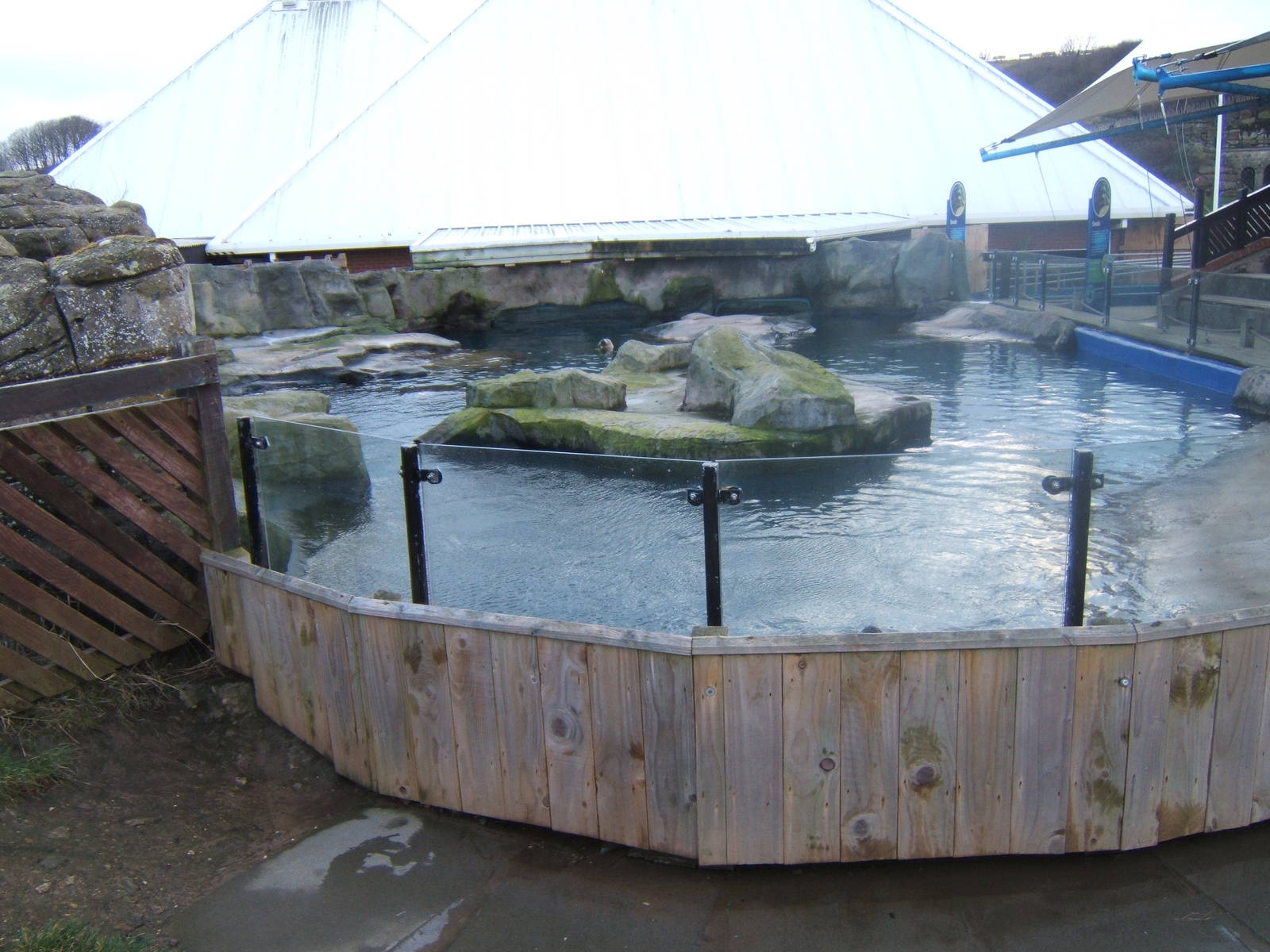 View of Common Seal Pool