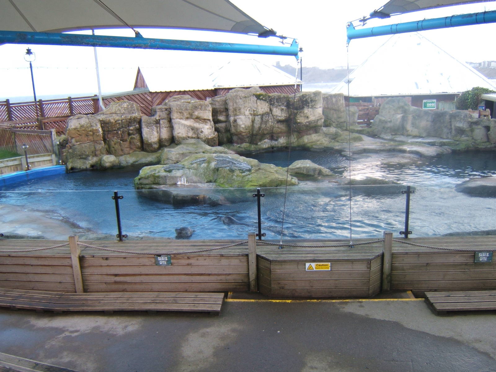 View of Common Seal Pool