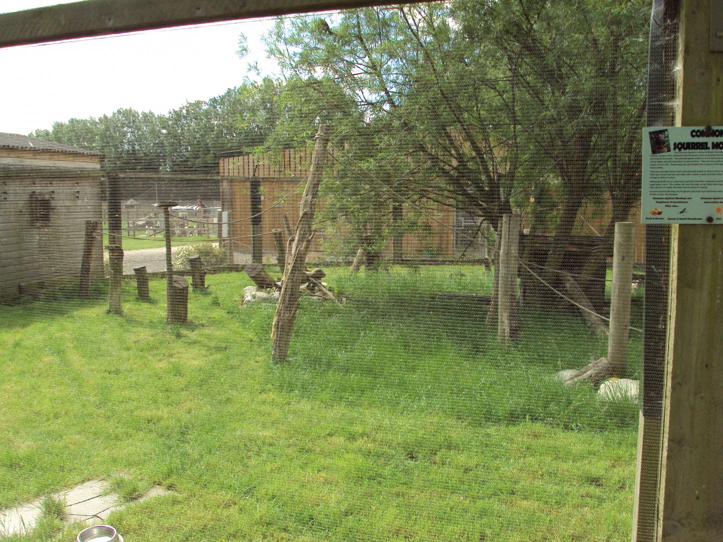 View of Common Squirrel Monkey enclosure 28/05/2019