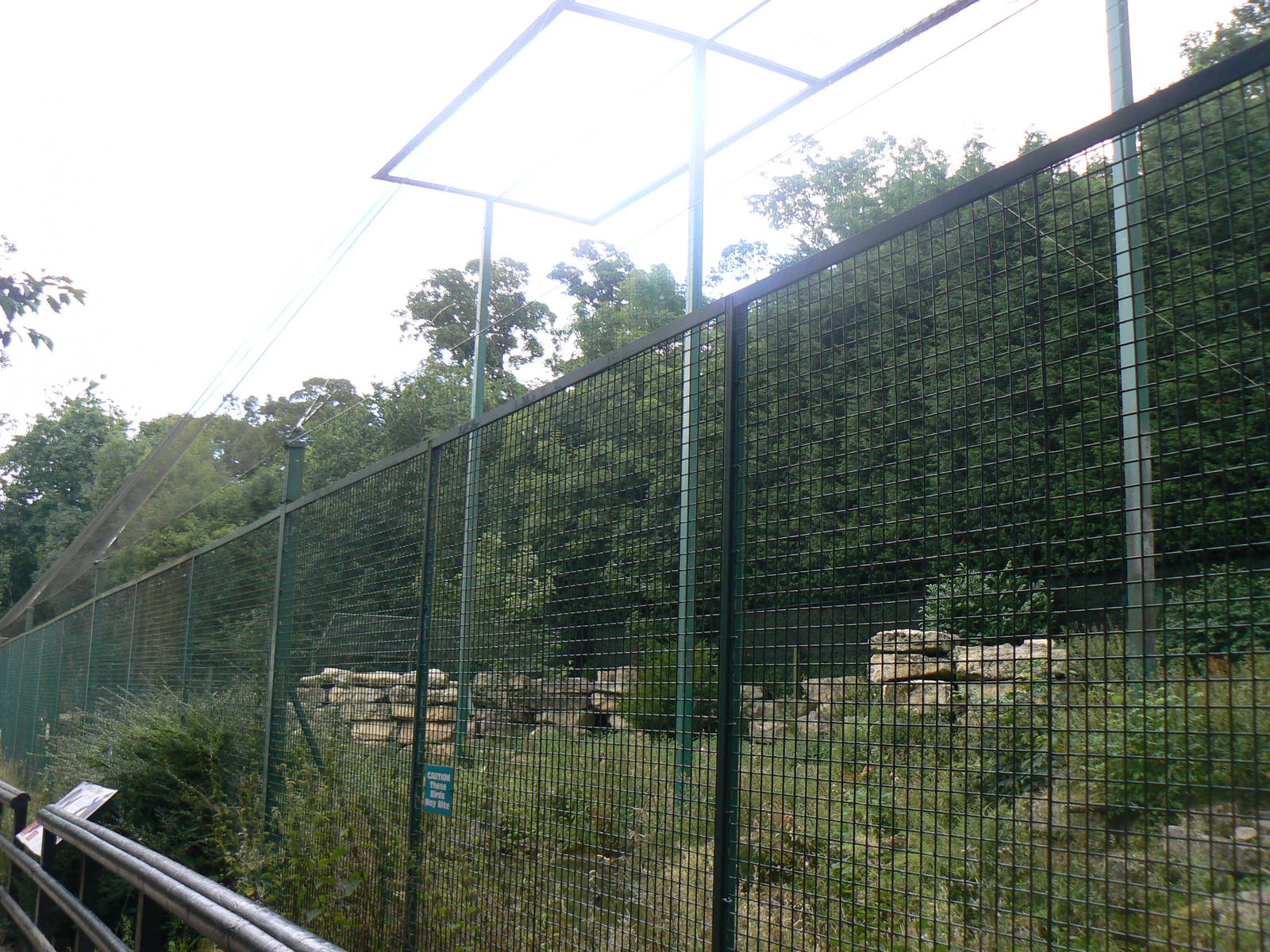View Of Condor Aviary