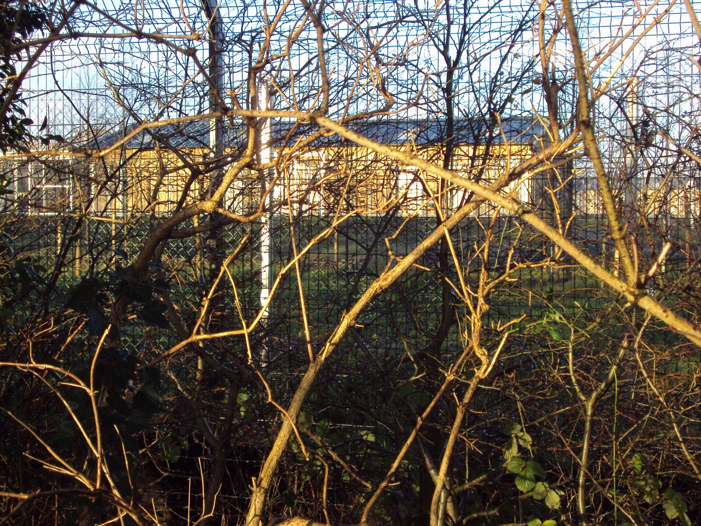 View of Construction of off show zoo 14/12/2019