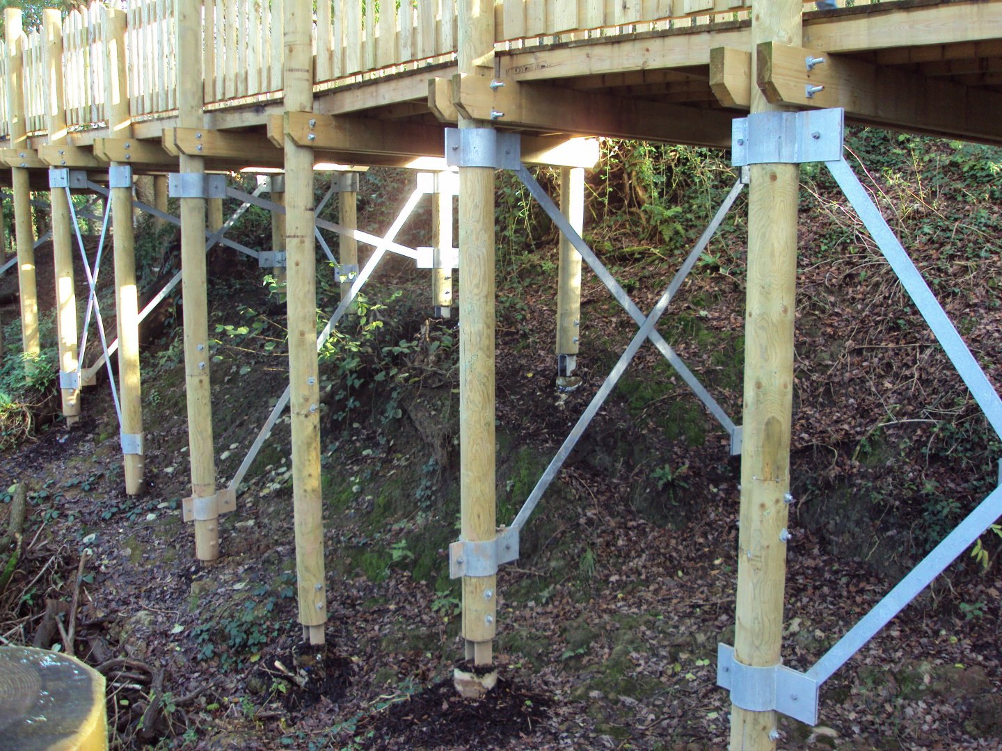 View of construction of path 03/01/2020