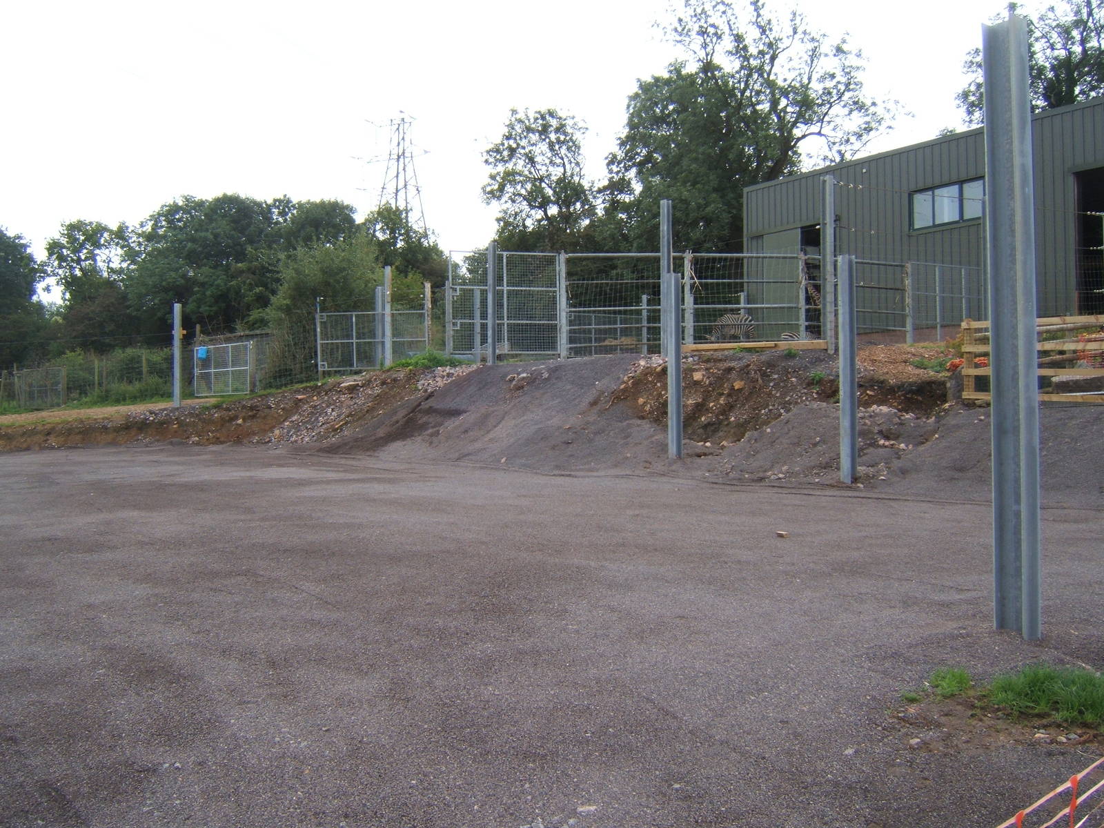 View of construction of the new hard standing for the Giraffes and Zebra