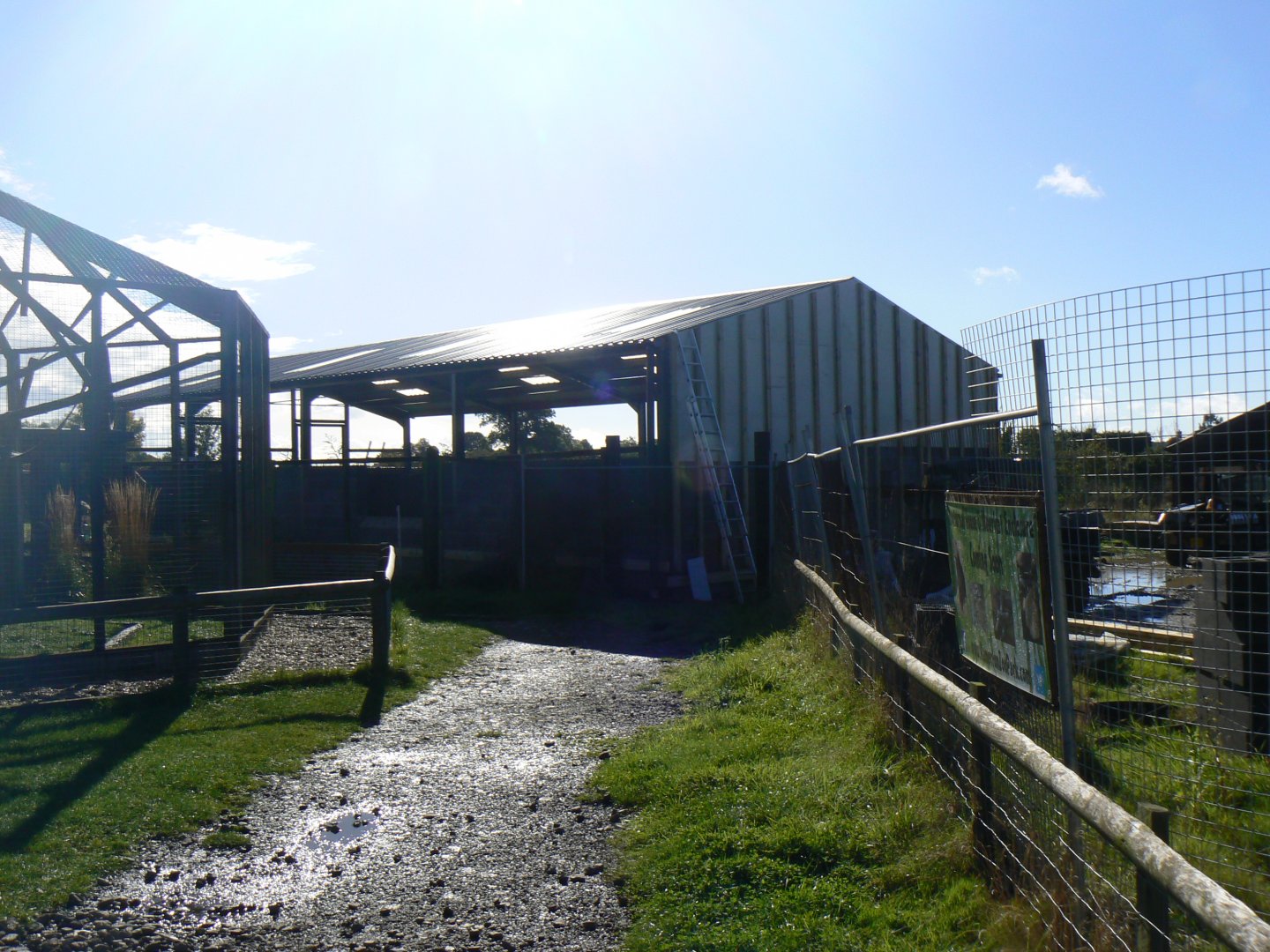 View of Construction Work on the New Nocturnal House- 16 October 2016
