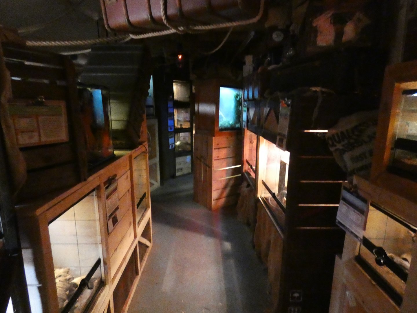 View of corridor in 'Reptiles Unleashed'