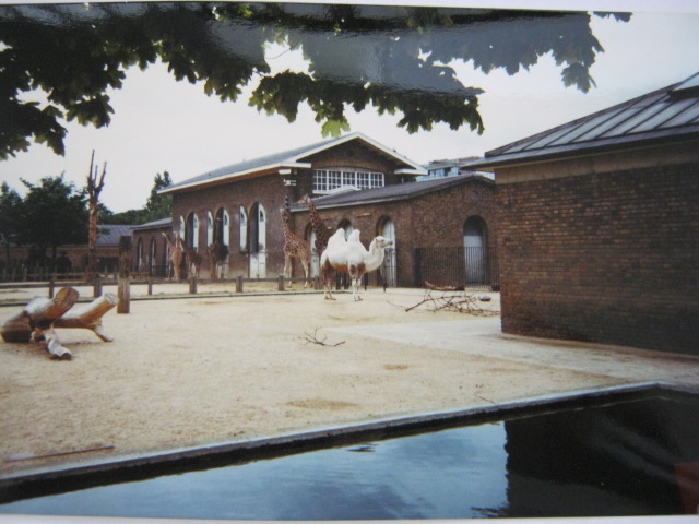 View of Cotton Terraces June 1990.