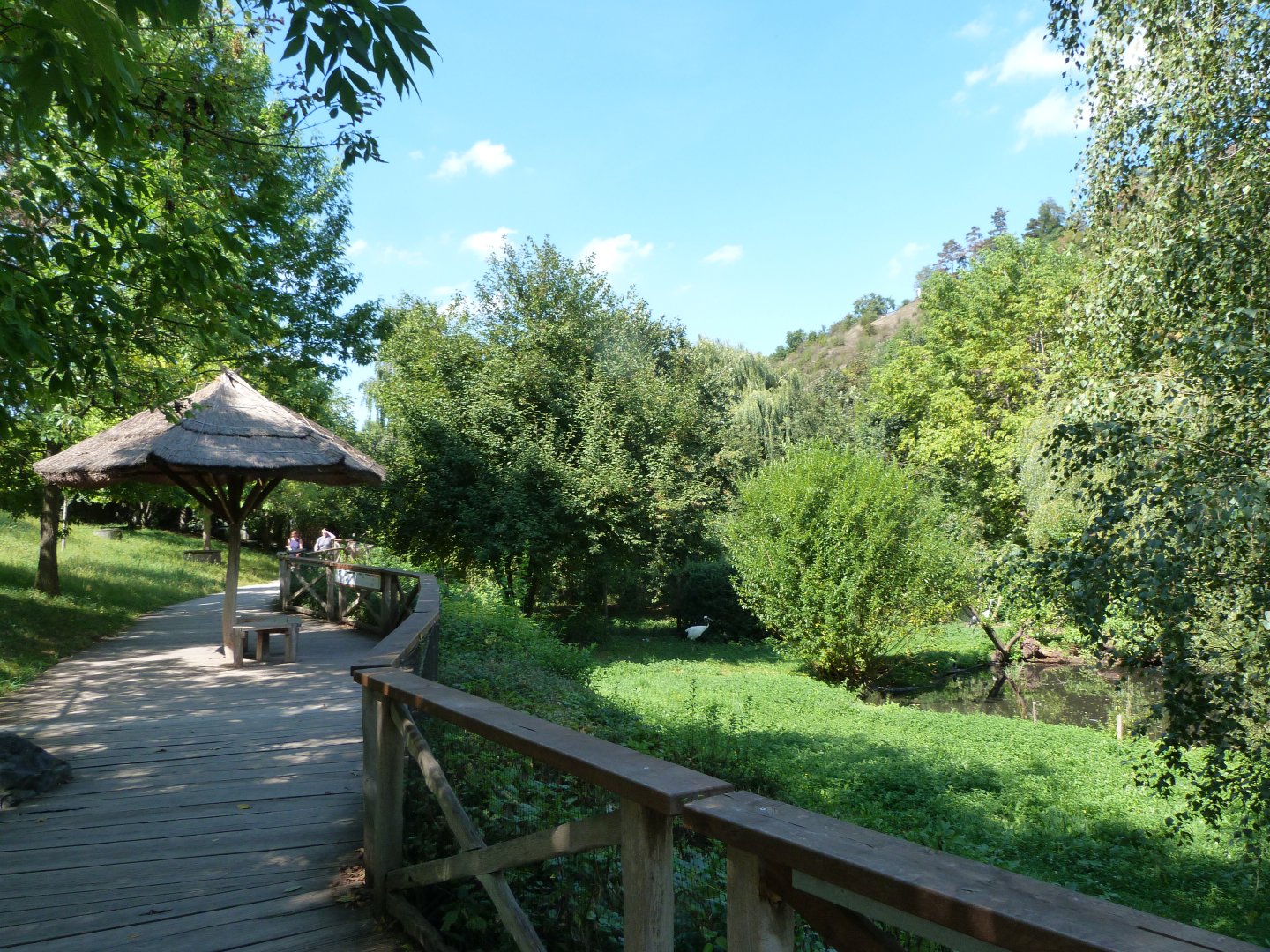 View of crane paddocks -Zoo Praha (2025)