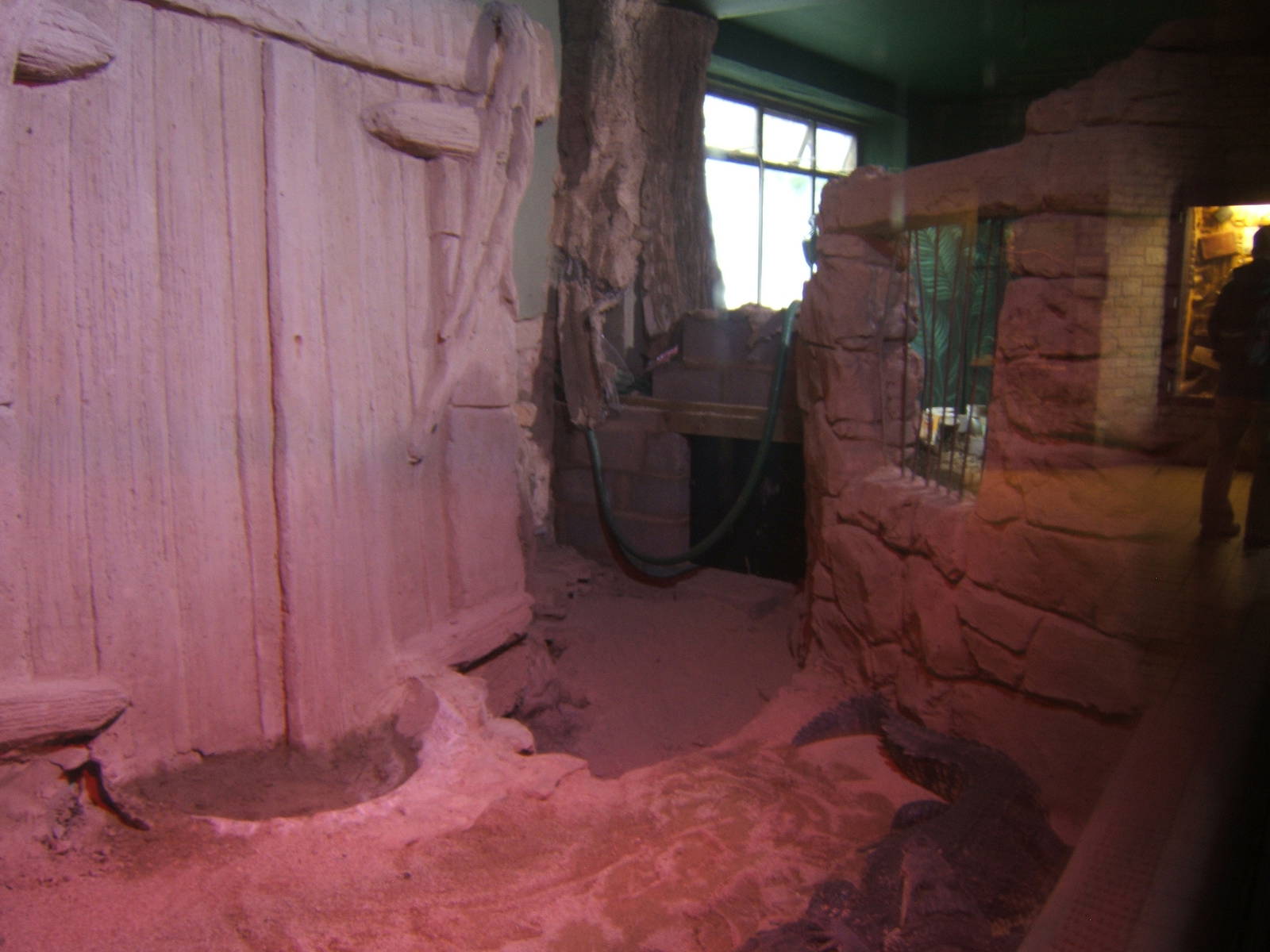 View of Crocodile enclosure re-furb