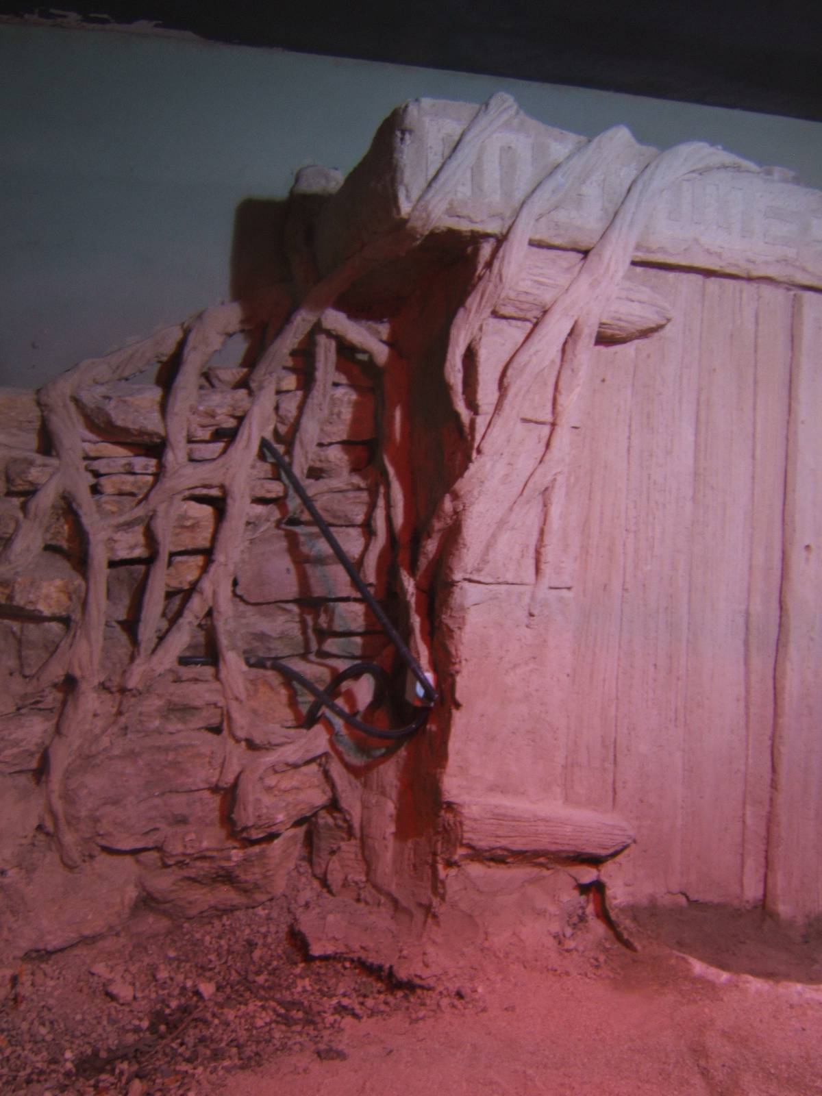 View of Crocodile enclosure re-furb