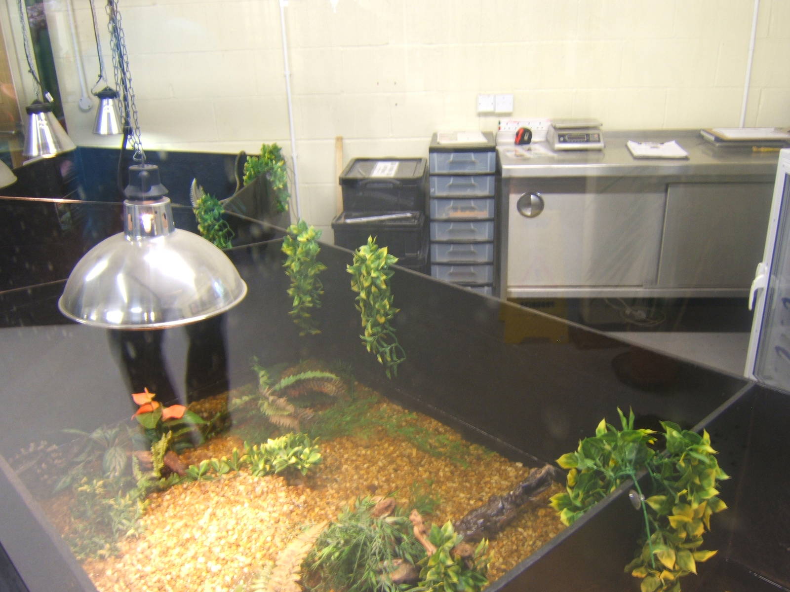 View of Crocodile nursery room