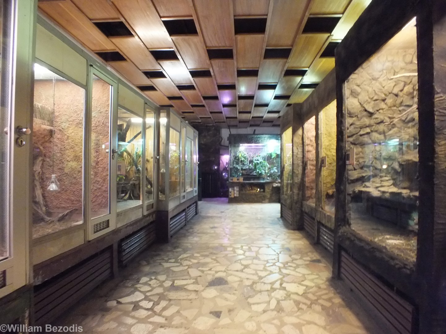 View of Crocodilian/Large Snake and Lizard Enclosures  - Wroclaw Zoo Terrarium