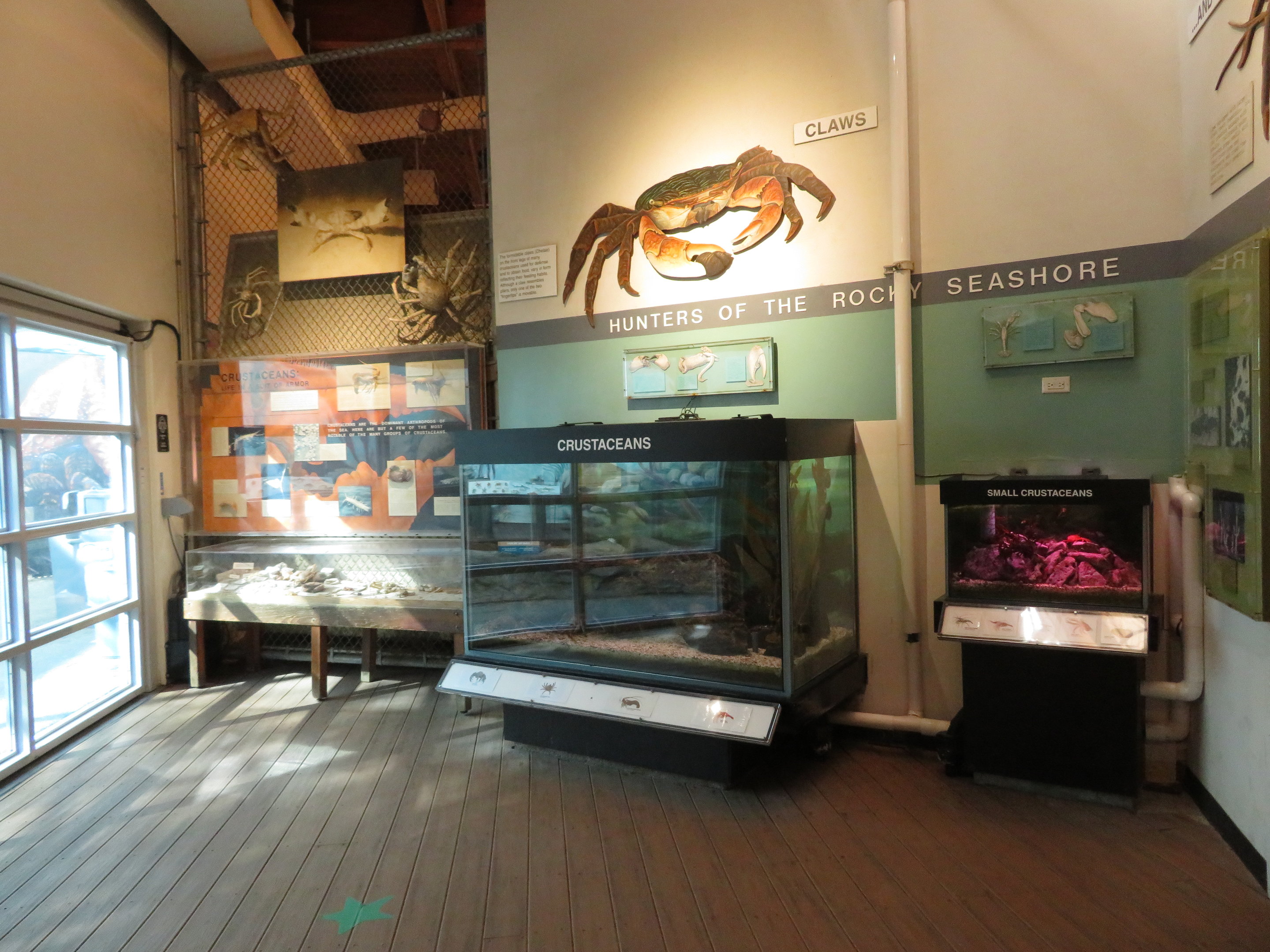 View of Crustacean Tanks