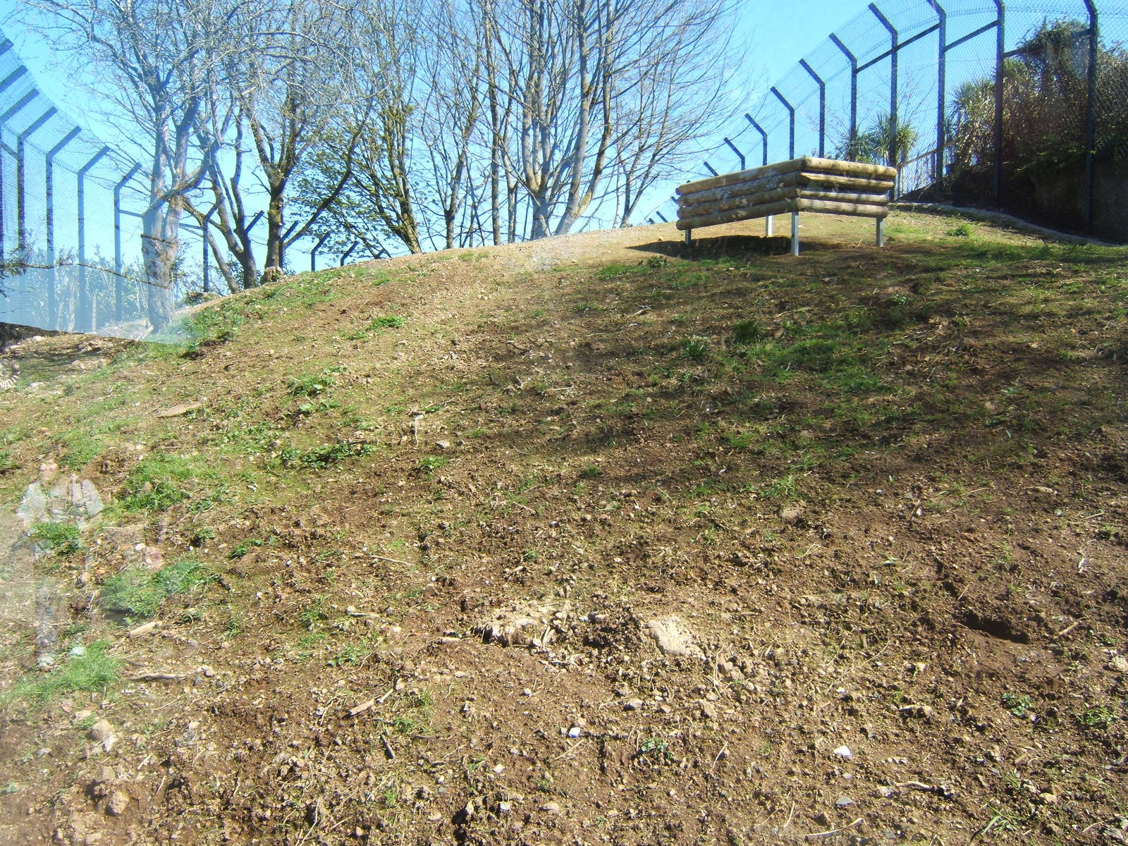 View of current Cheetah enclosure