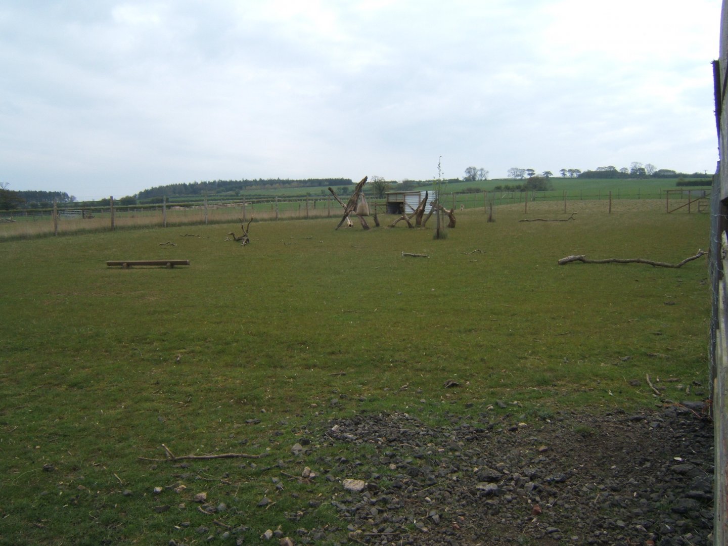 View of deer enclosure