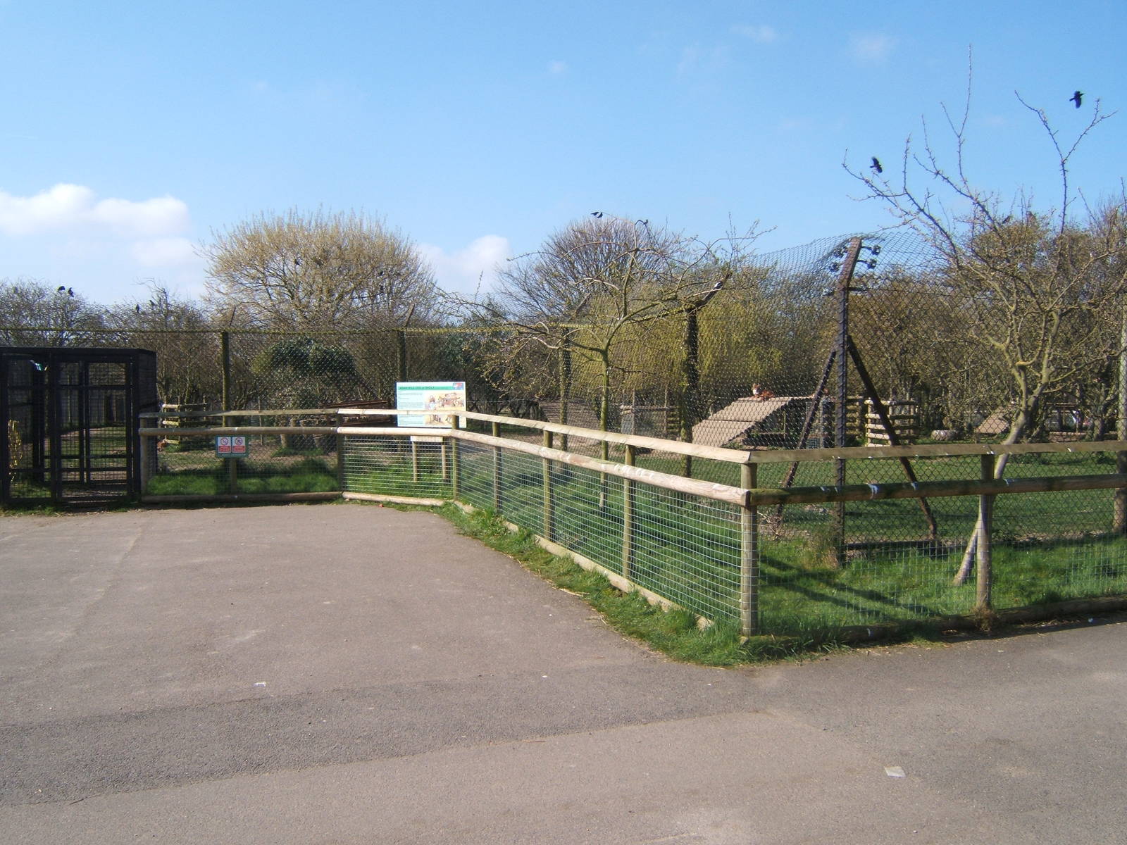 View of Dhole enclosure