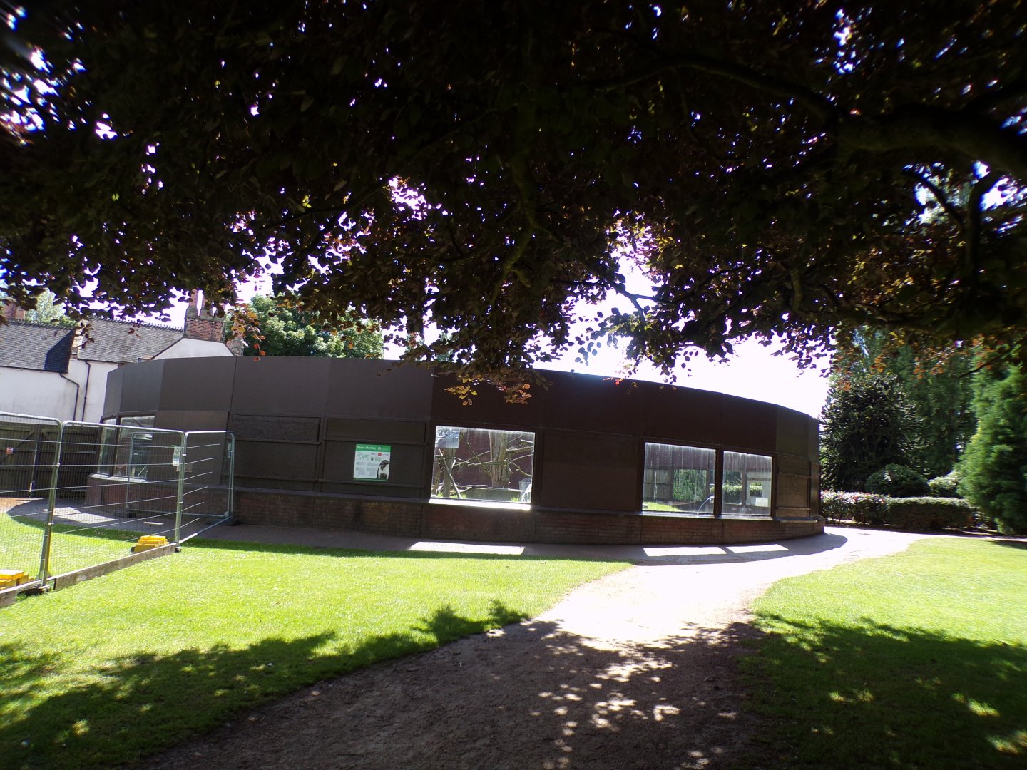 View of Diana monkey enclosure 7.7.24