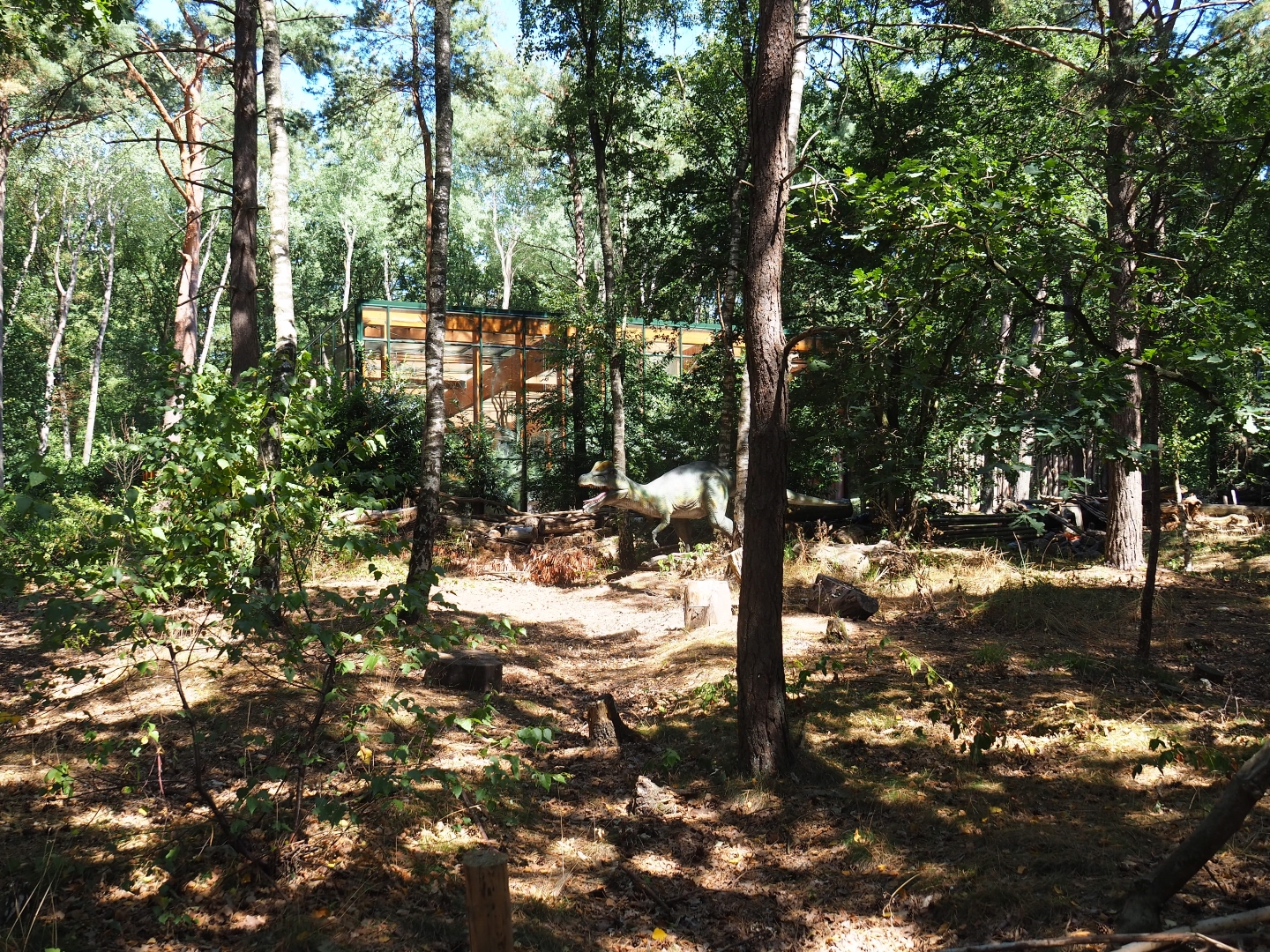 View of Dinosaur forest