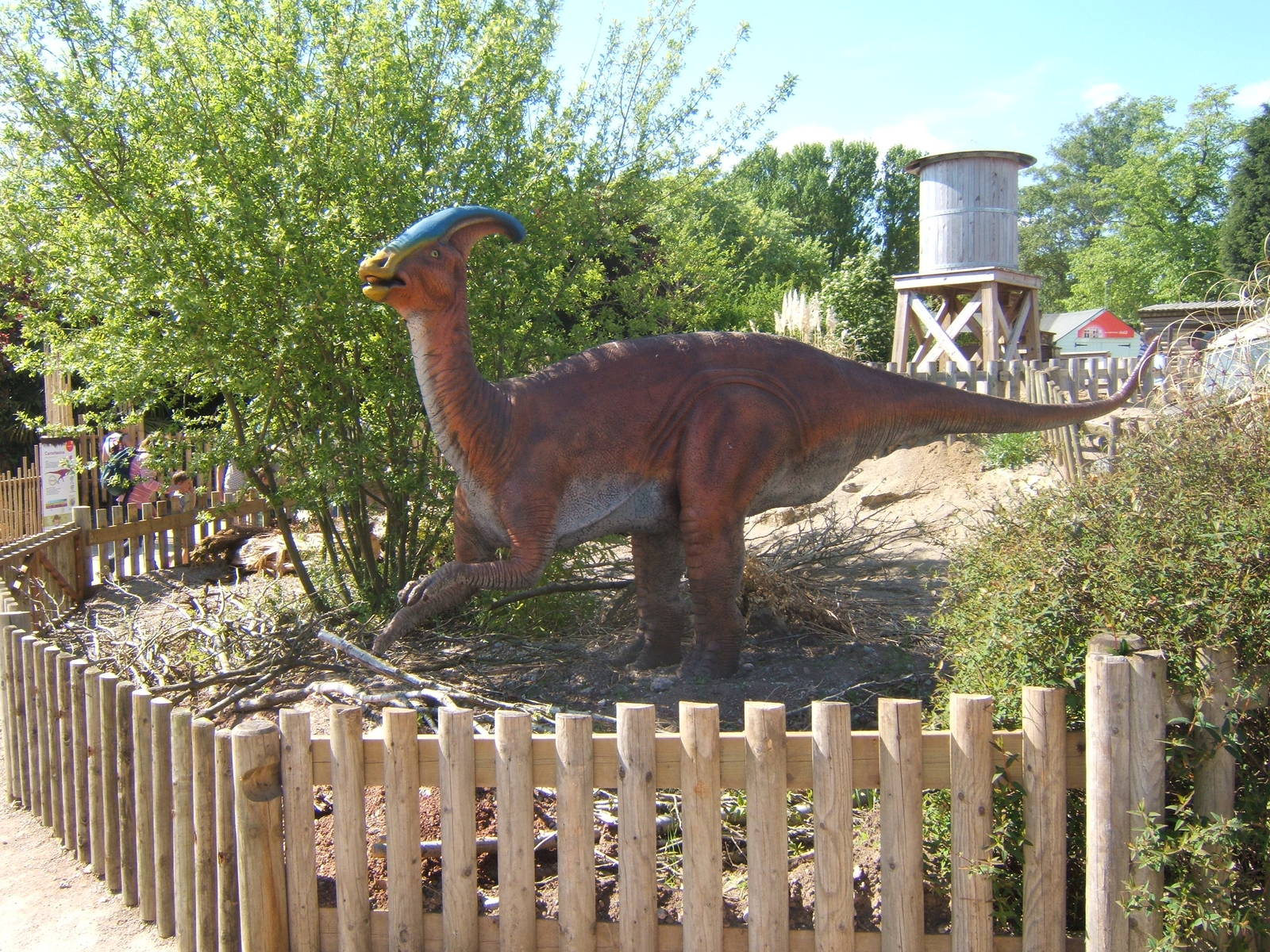 View of Dinosaur set up