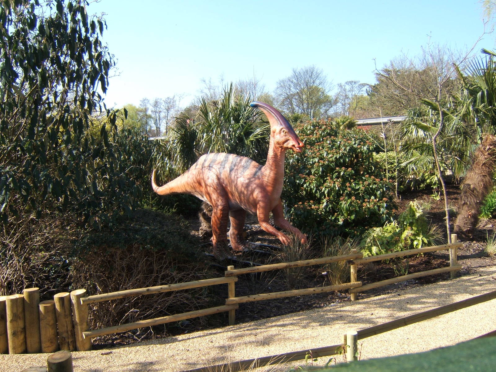 View of Dinosaurs for 2012