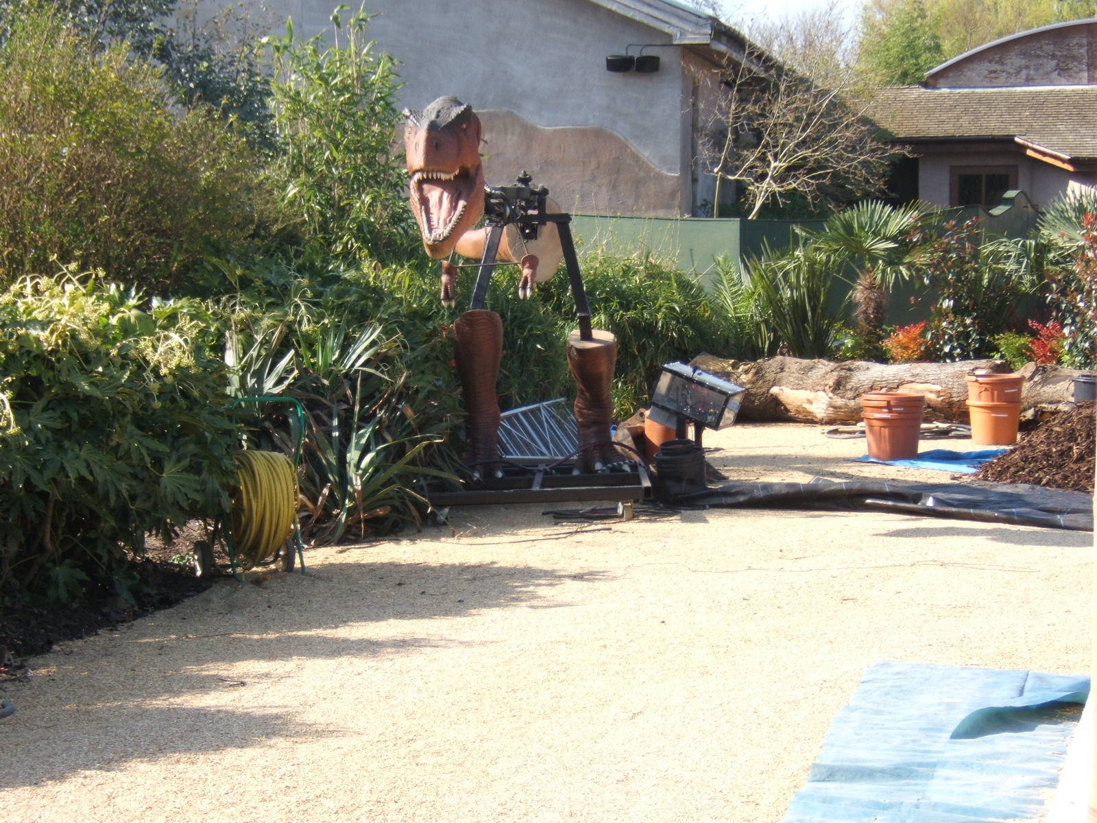 View of Dinosaurs for 2012