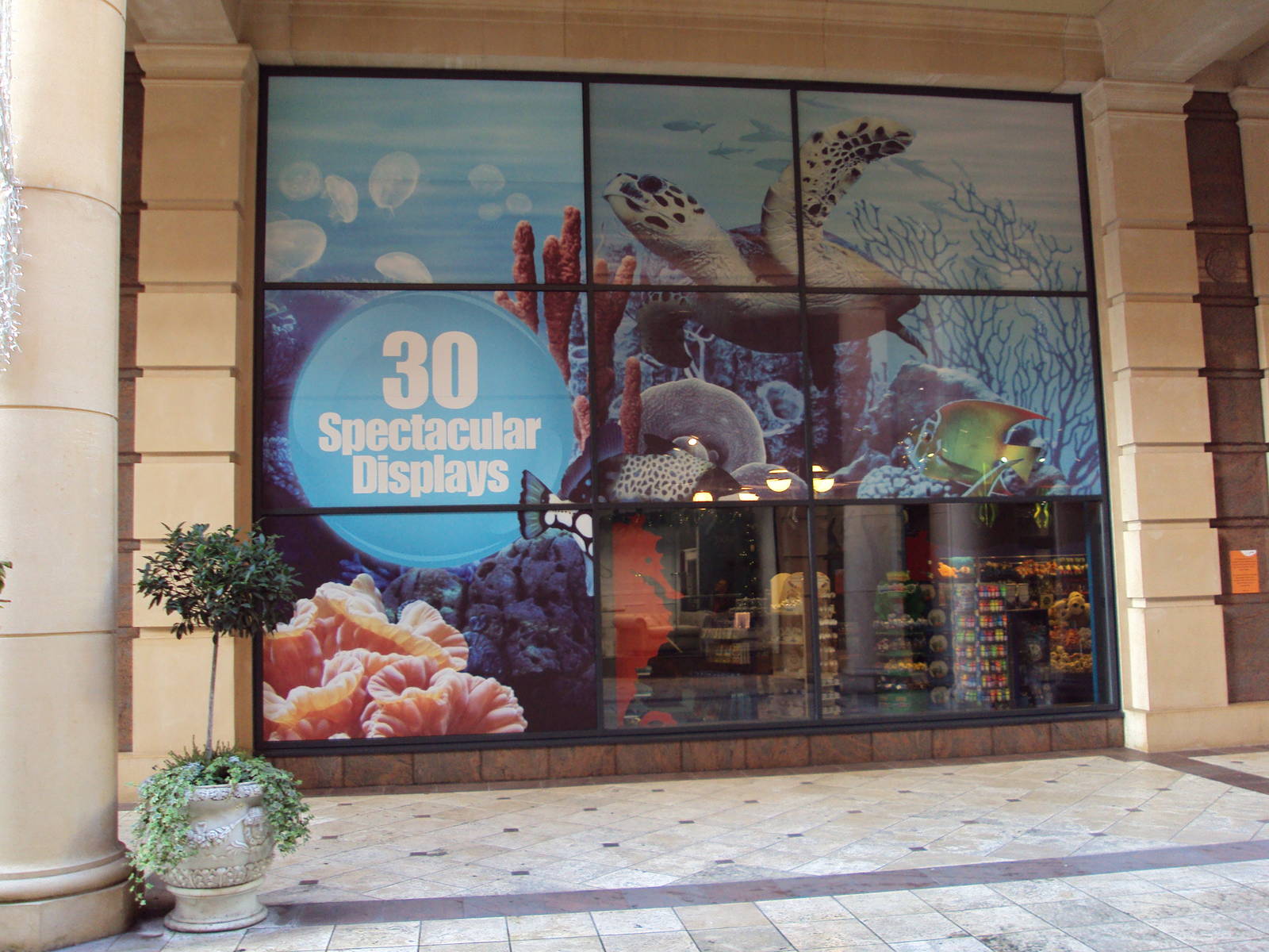 View of display window outside