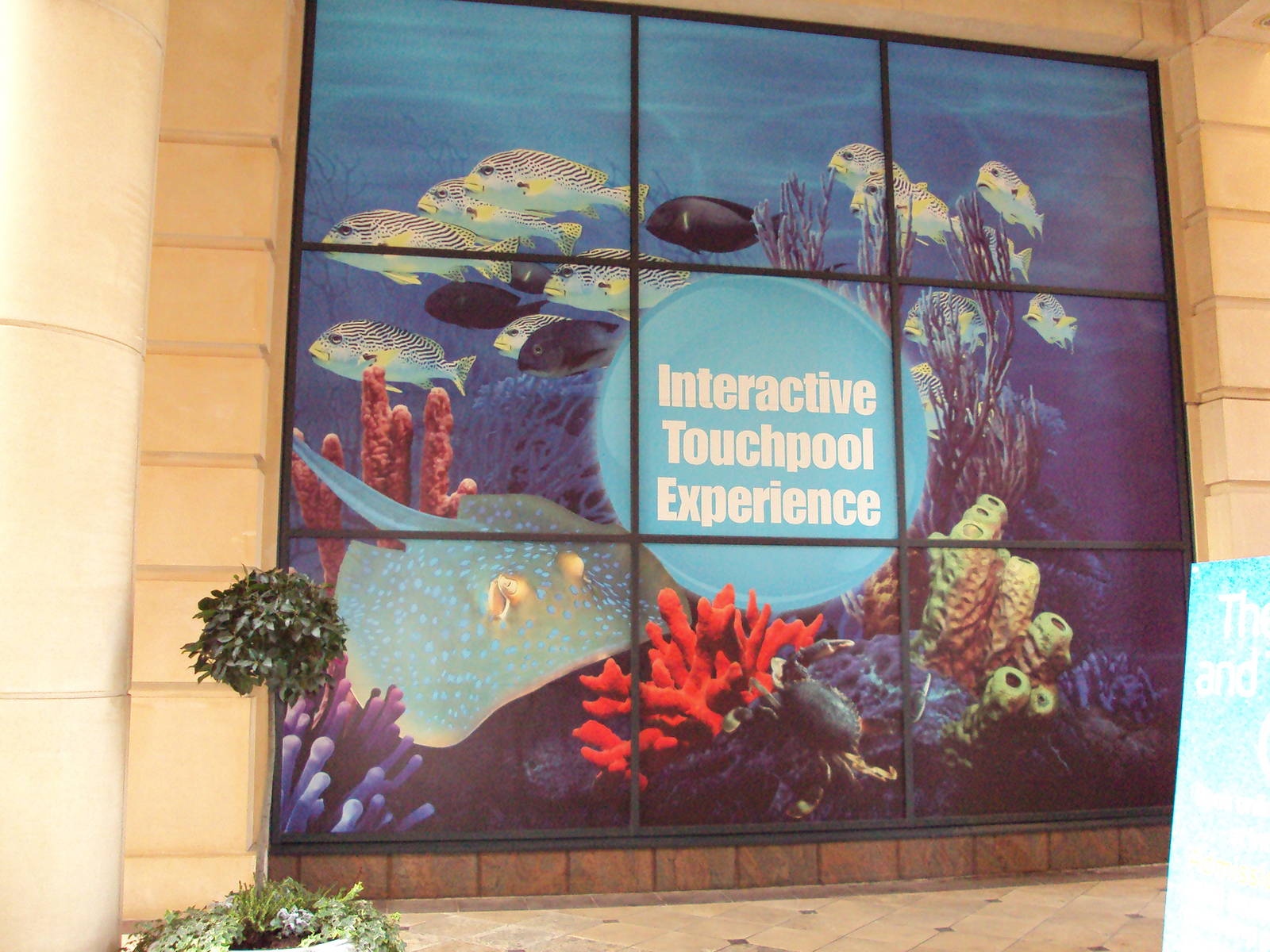 View of display window outside